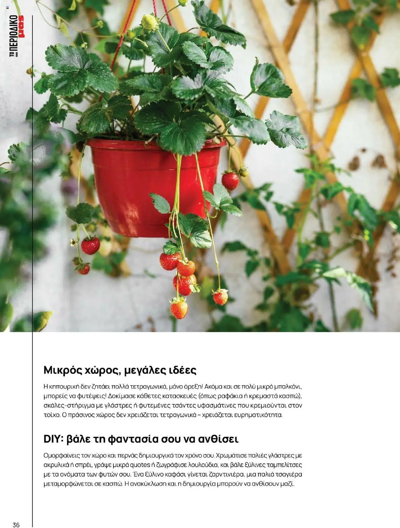 Μασούτης φυλλάδιο από 18/06/2025 Καλοκαίρι - Γεύσεις & εμπνεύσεις (2025-06-18)