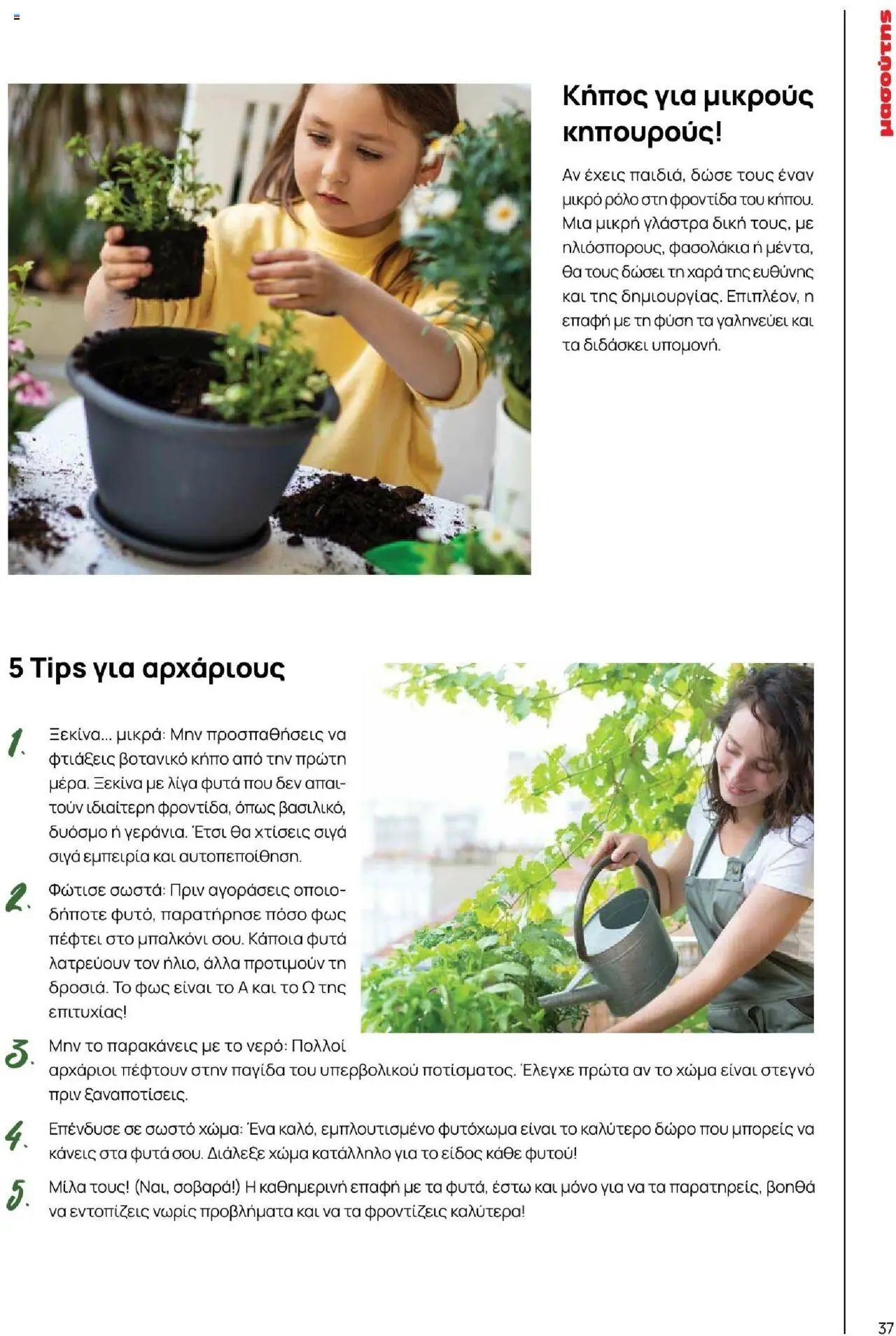 Μασούτης φυλλάδιο από 18/06/2025 Καλοκαίρι - Γεύσεις & εμπνεύσεις (2025-06-18)