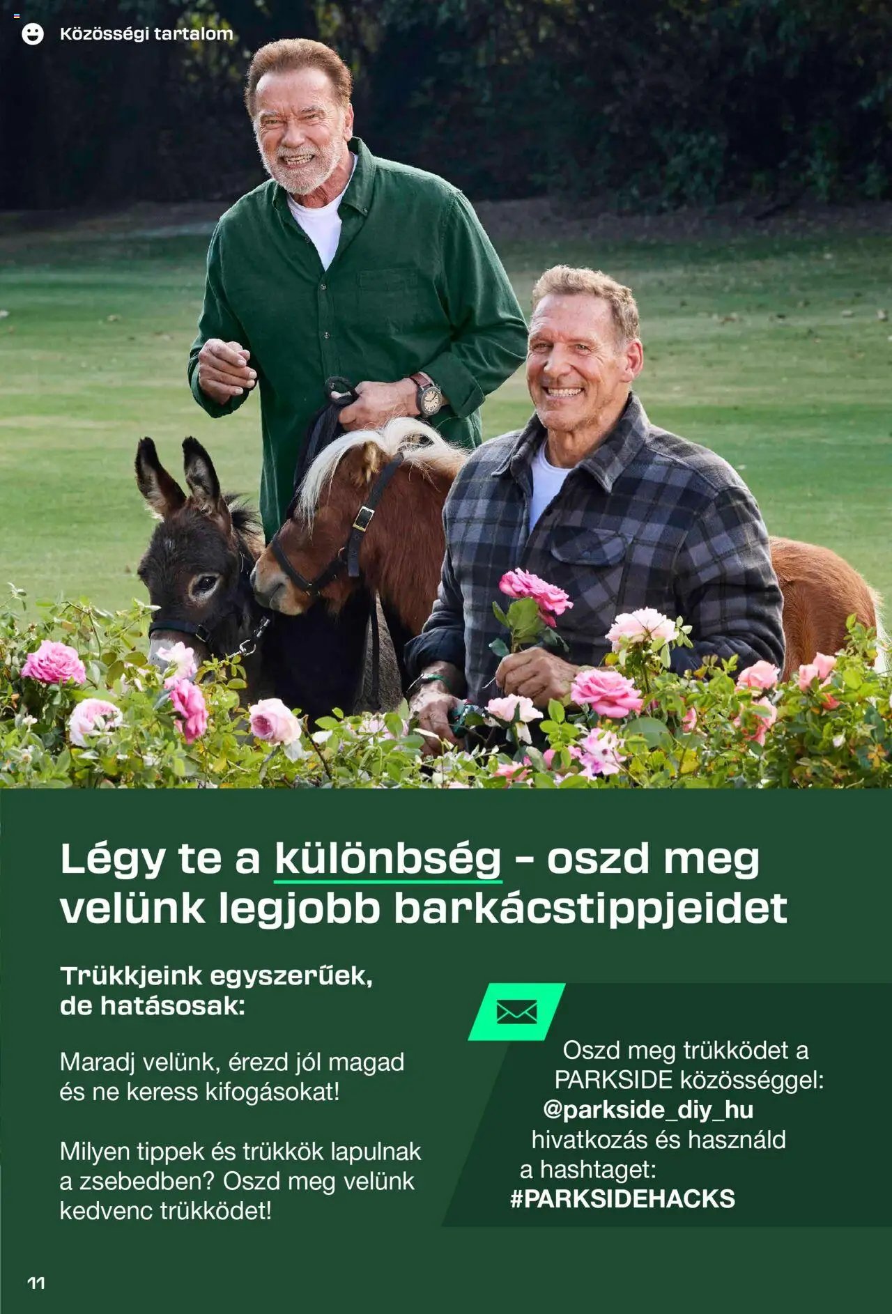 Lidl újság 2025.08.26. Parkside (2025-08-26)