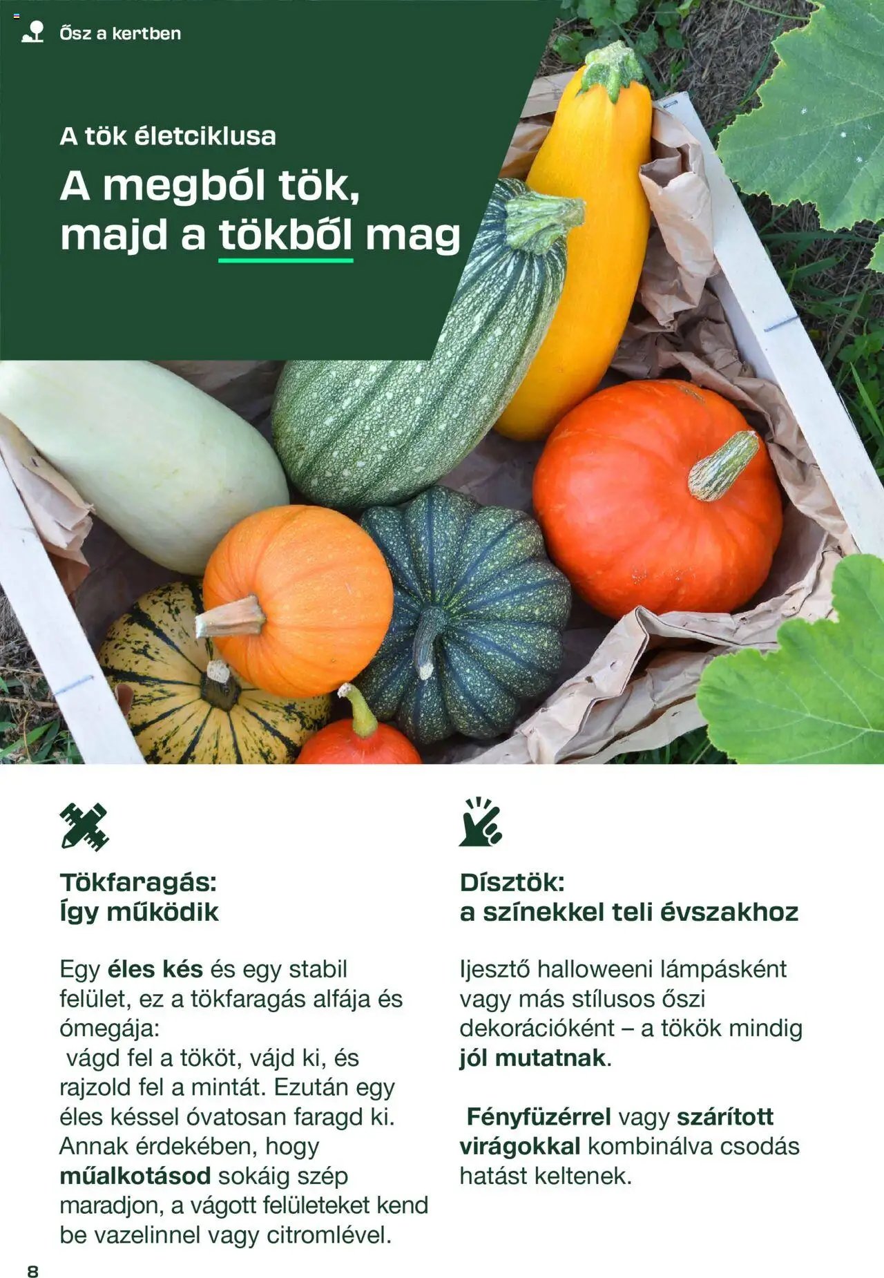 Lidl újság 2025.08.26. Parkside (2025-08-26)