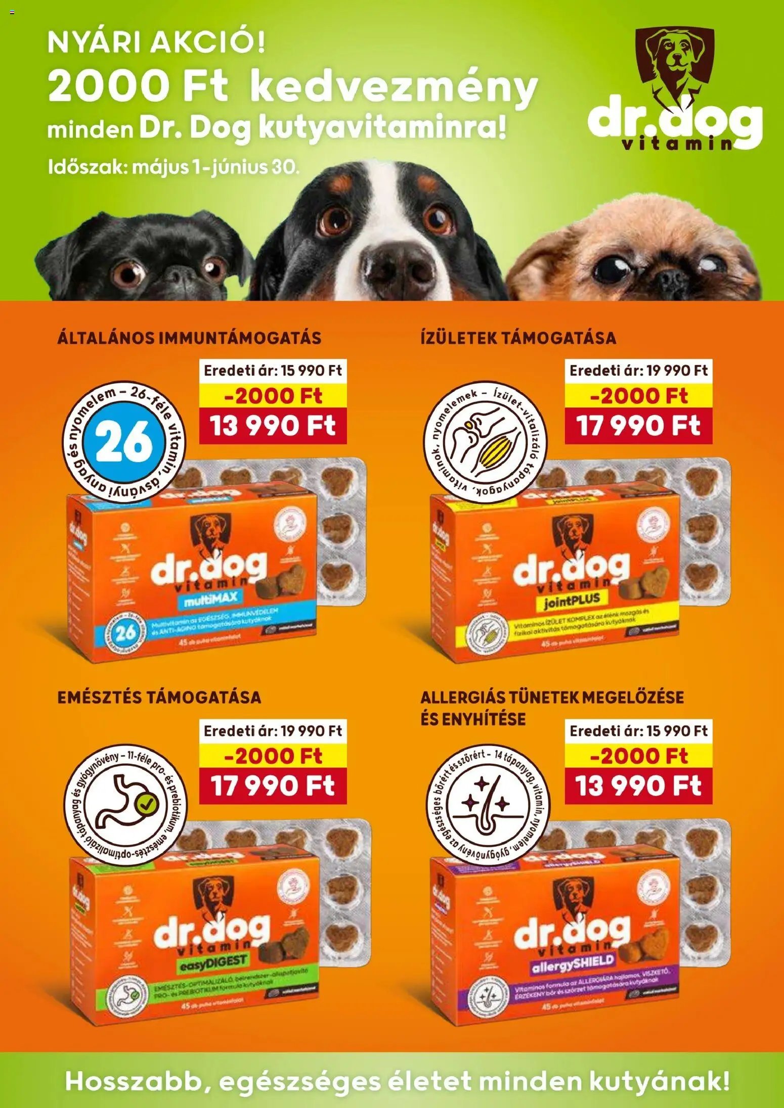 AlphaZoo újság 2026.06.15. AlphaZoo akciós újság