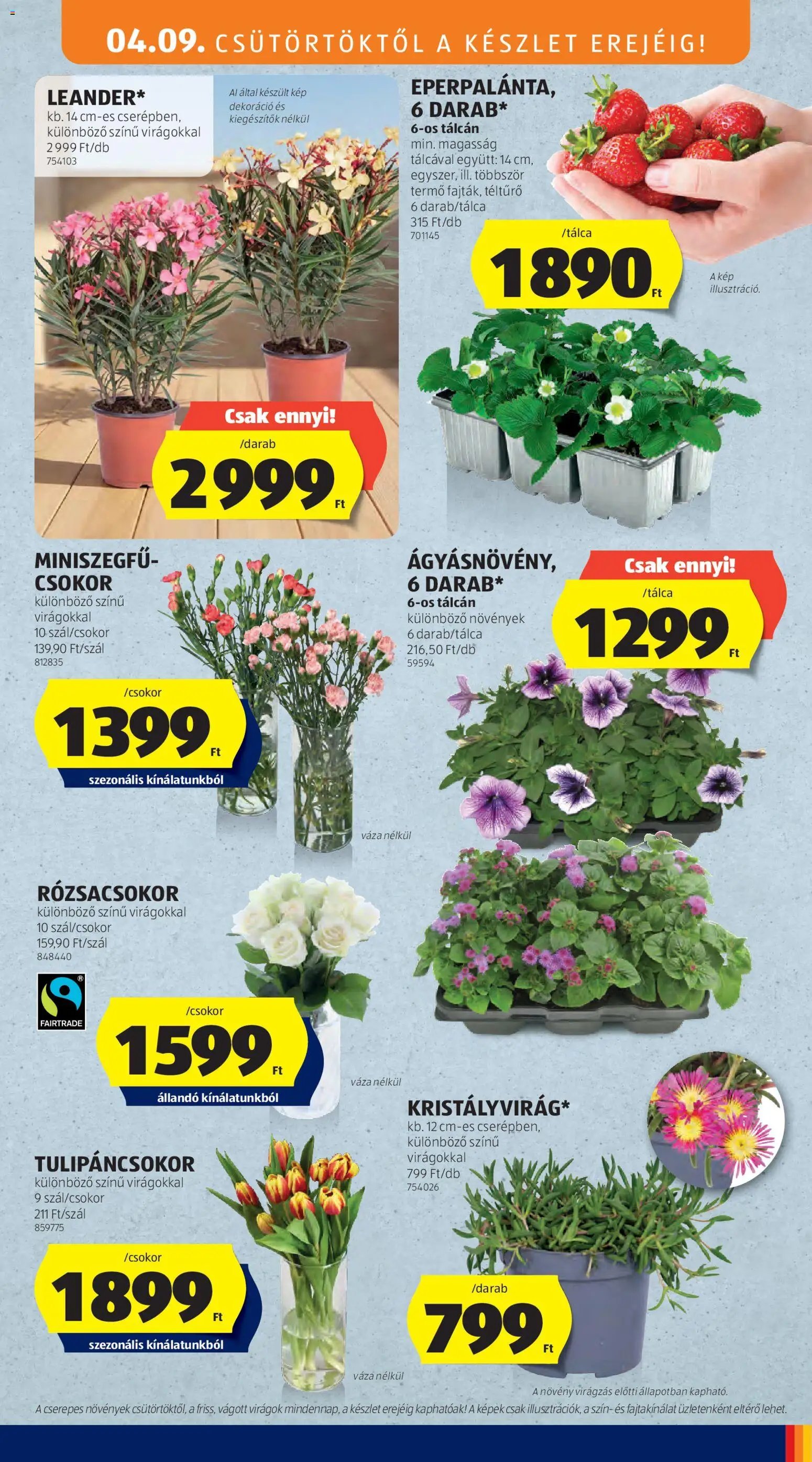 Aldi újság 2026.04.09. Aldi Középső sor termékei (2026-04-09 - 2026-04-15)