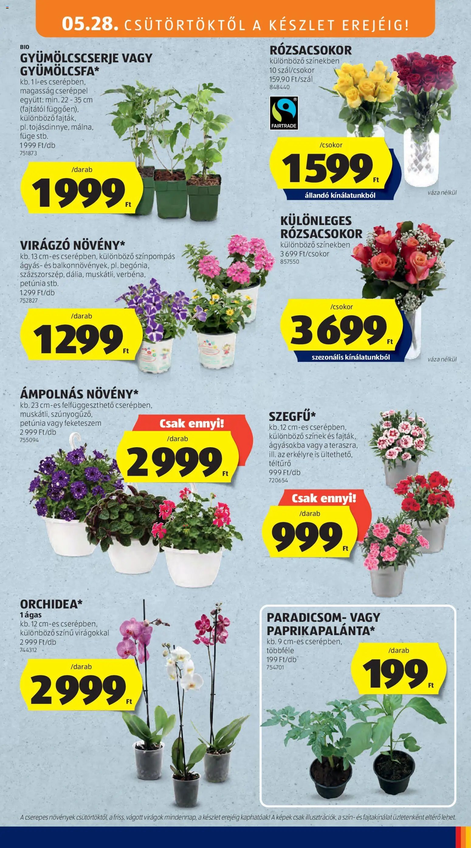 Aldi újság 2026.05.28. Aldi akciós újság (2026-05-28 - 2026-06-03)