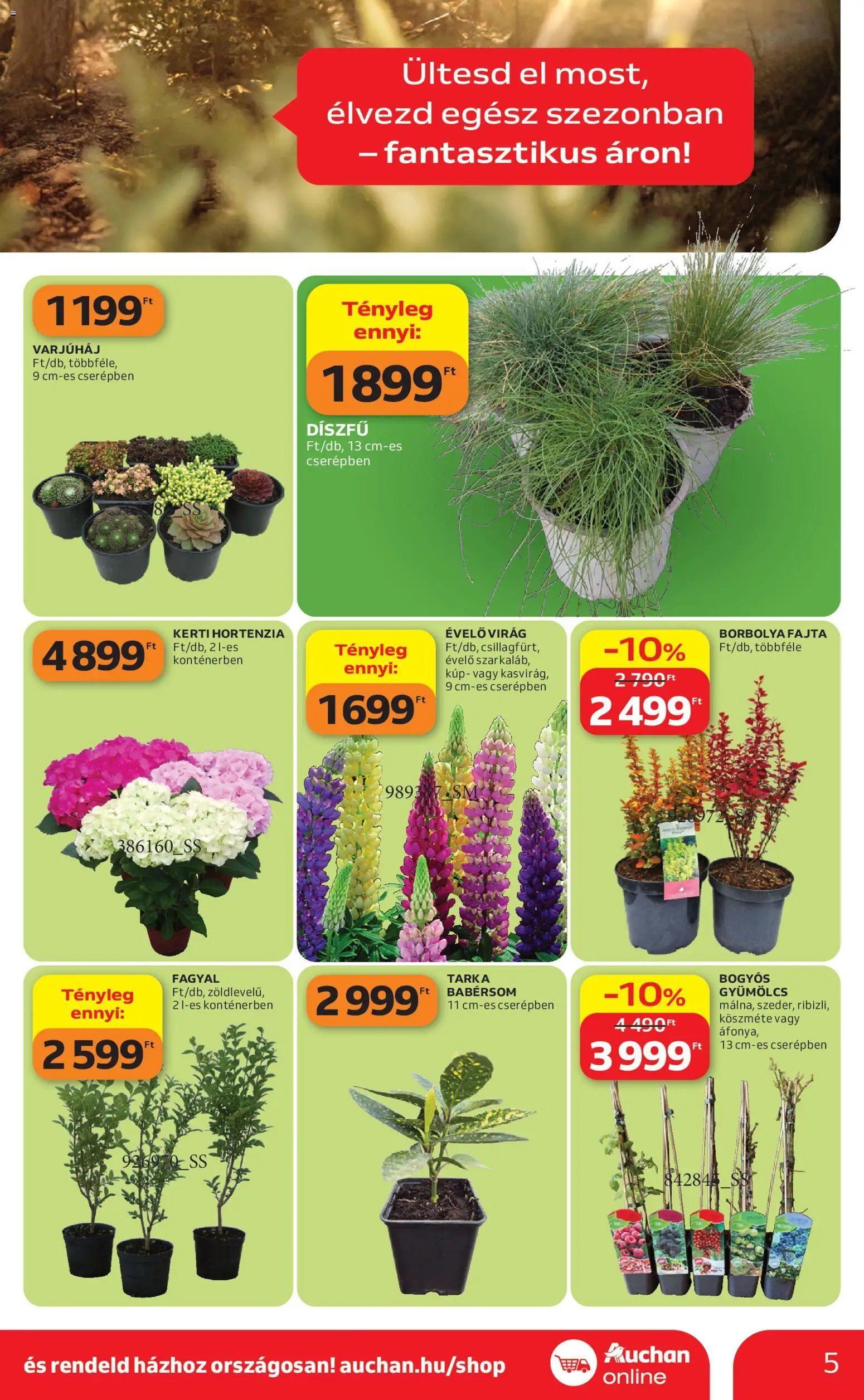 Auchan újság 2026.04.16. Auchan Kertészet és Szabadidő (2026-04-16 - 2026-05-14)