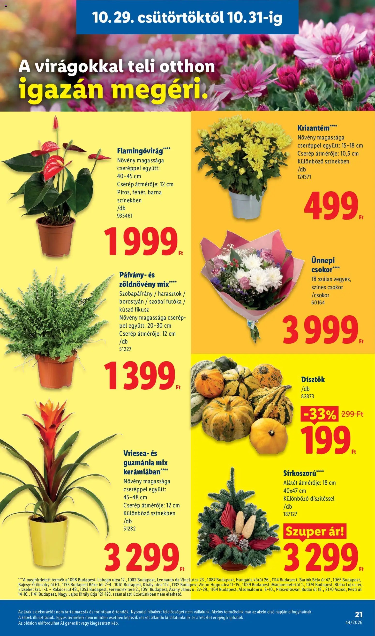 Lidl akciós újság 2026.10.29. - lapozható formában szórólap ✳️