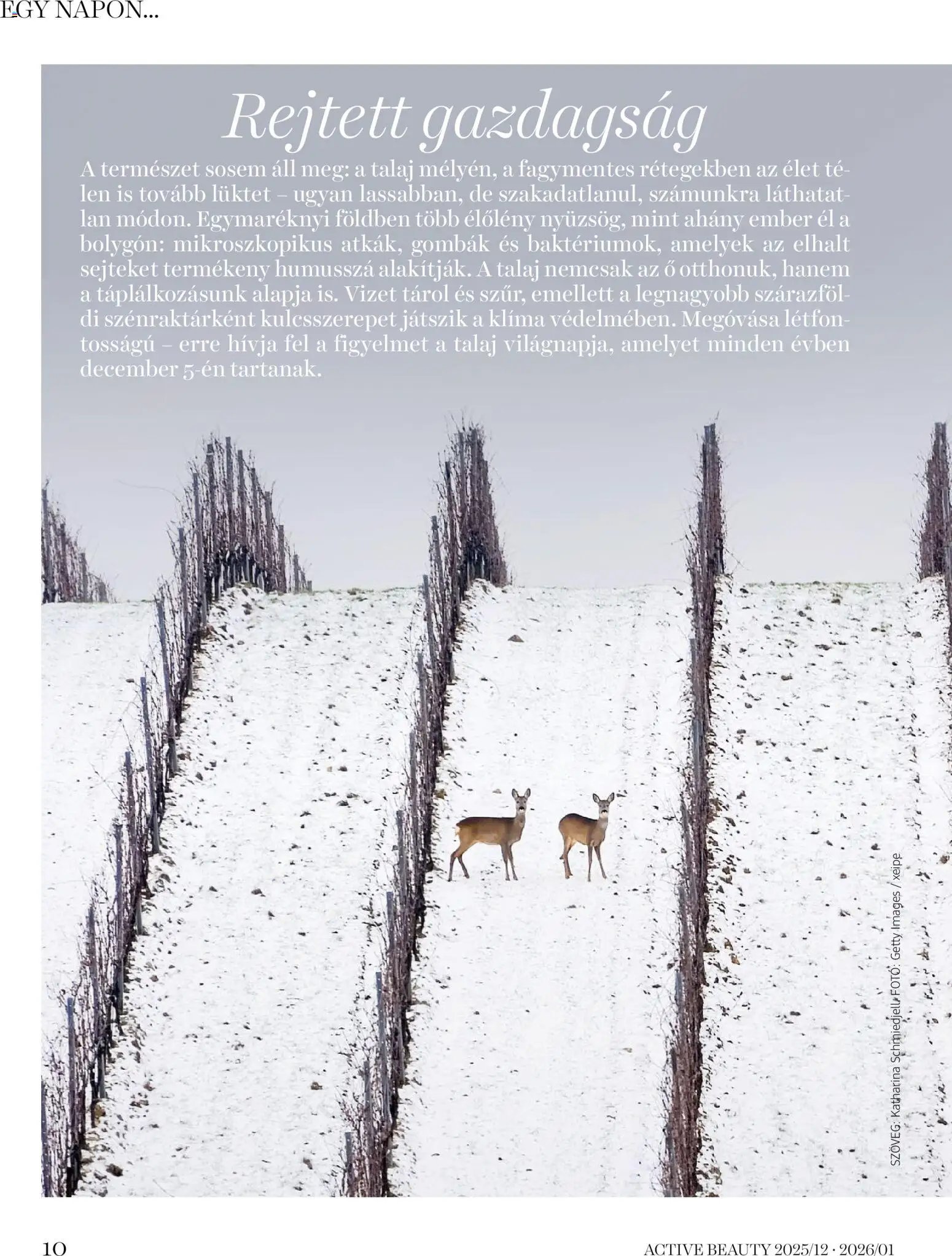 DM Drogerie Markt újság 2025.12.18. Active Beauty 2025/12-2026/01 (2025-12-18 - 2026-01-31)