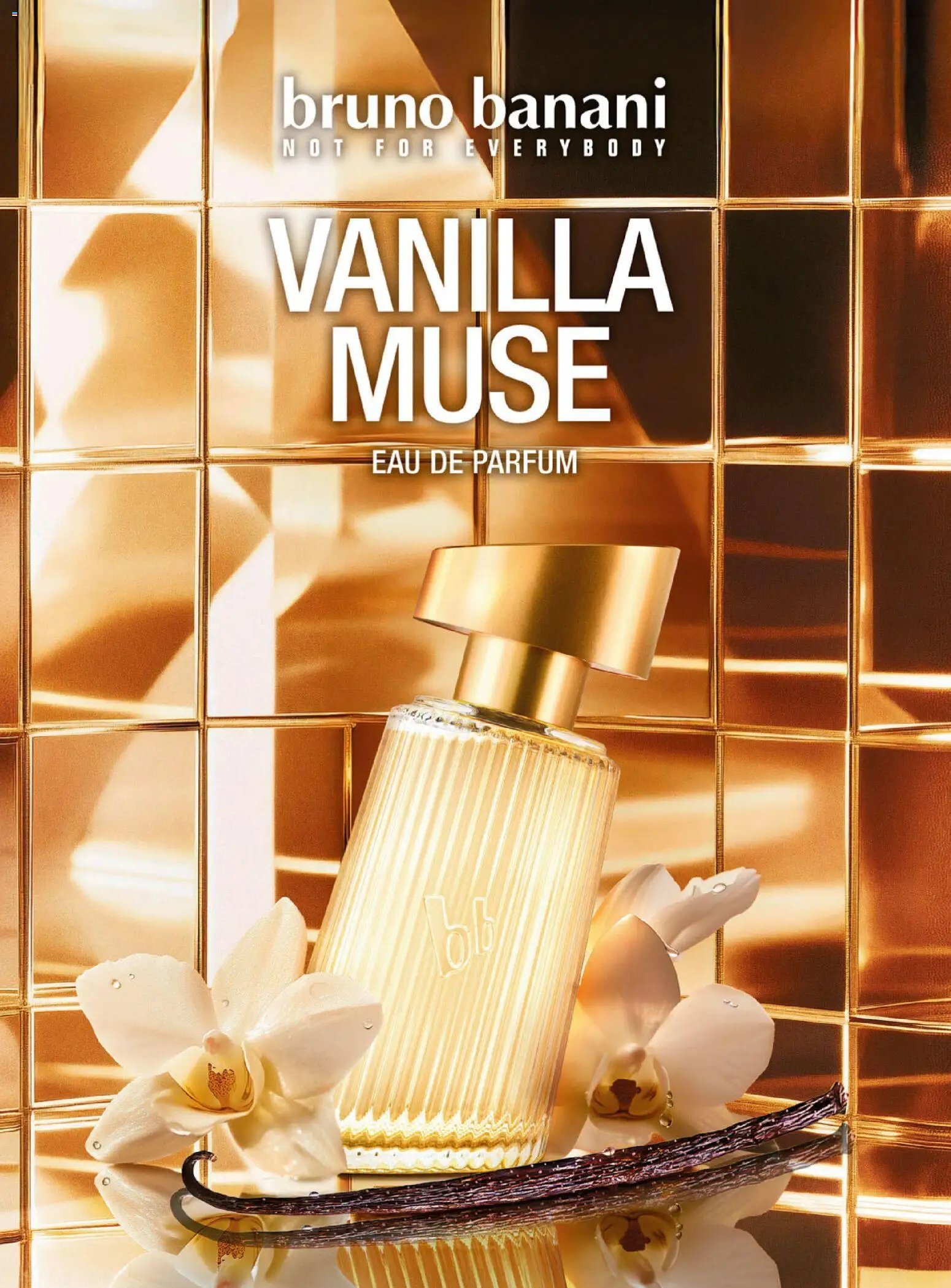 DM Drogerie Markt újság 2025.12.18. Active Beauty 2025/12-2026/01 (2025-12-18 - 2026-01-31)