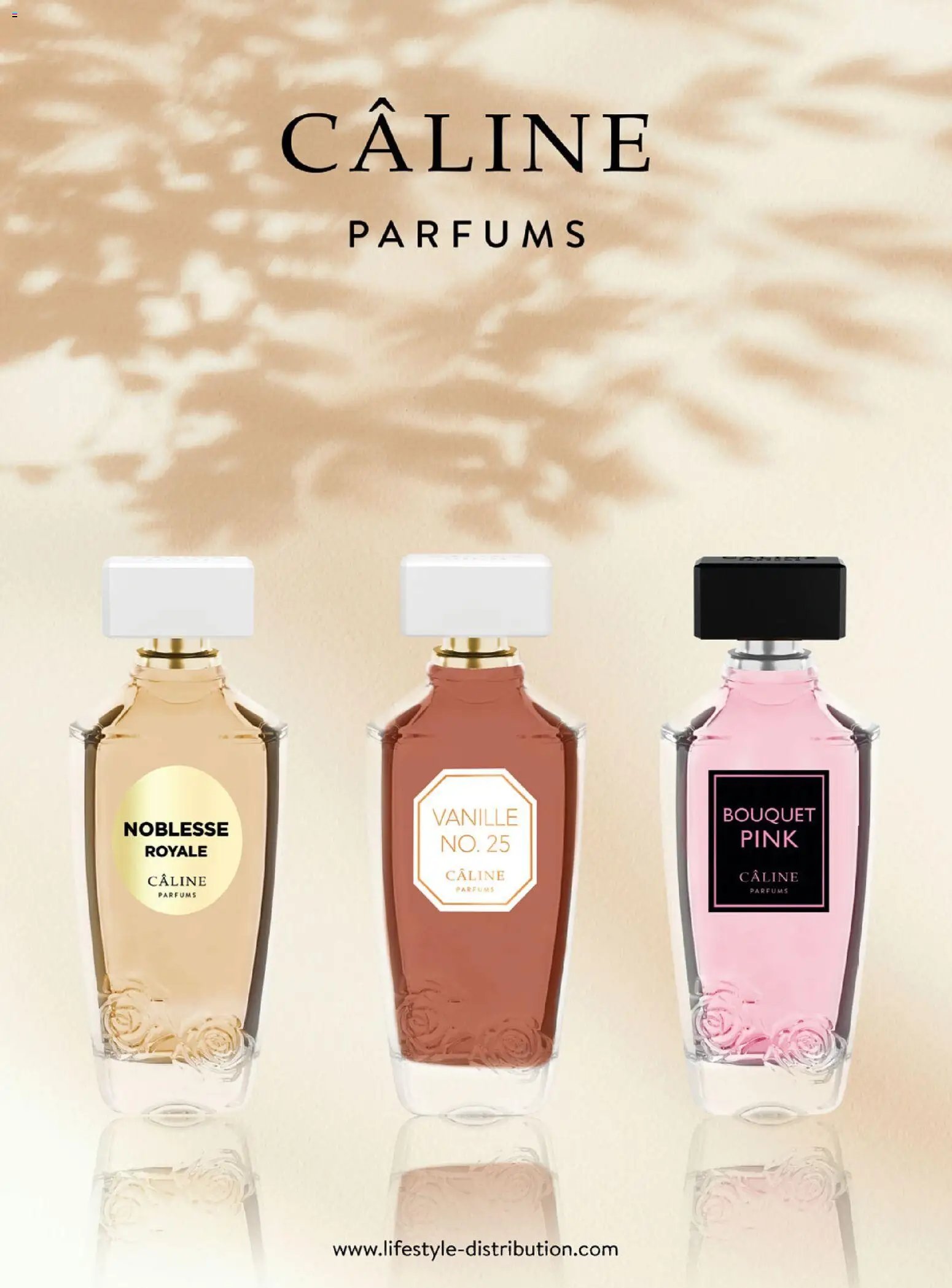 DM Drogerie Markt újság 2025.12.18. Active Beauty 2025/12-2026/01 (2025-12-18 - 2026-01-31)