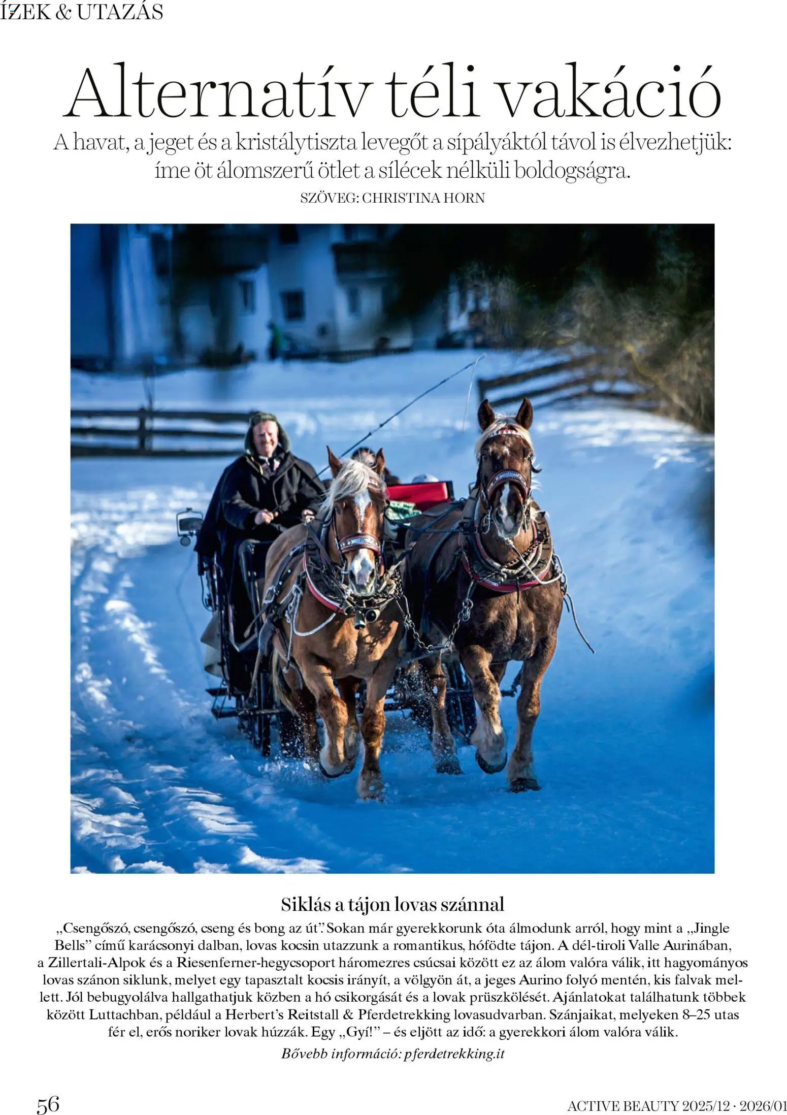 DM Drogerie Markt újság 2025.12.18. Active Beauty 2025/12-2026/01 (2025-12-18 - 2026-01-31)