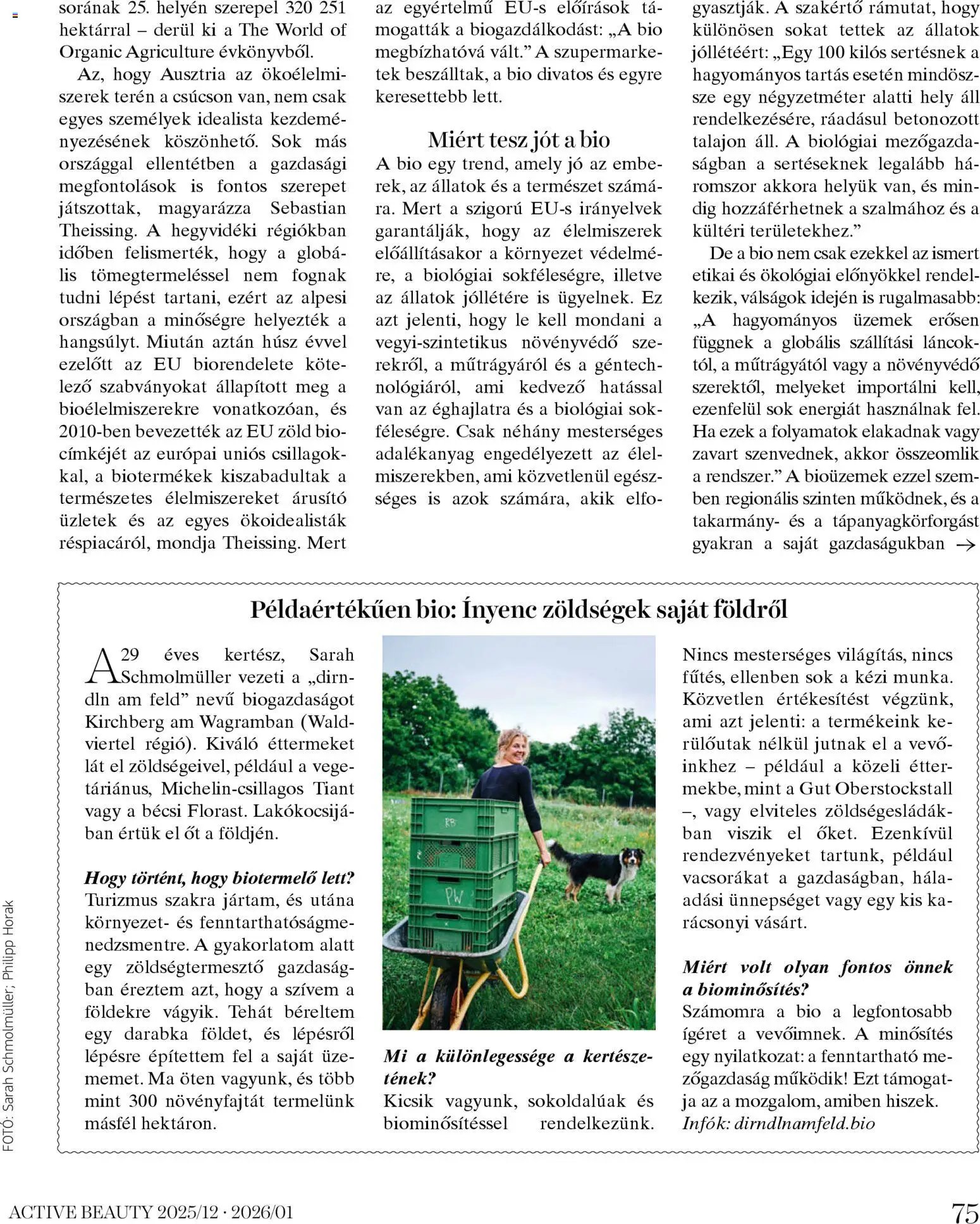 DM Drogerie Markt újság 2025.12.18. Active Beauty 2025/12-2026/01 (2025-12-18 - 2026-01-31)