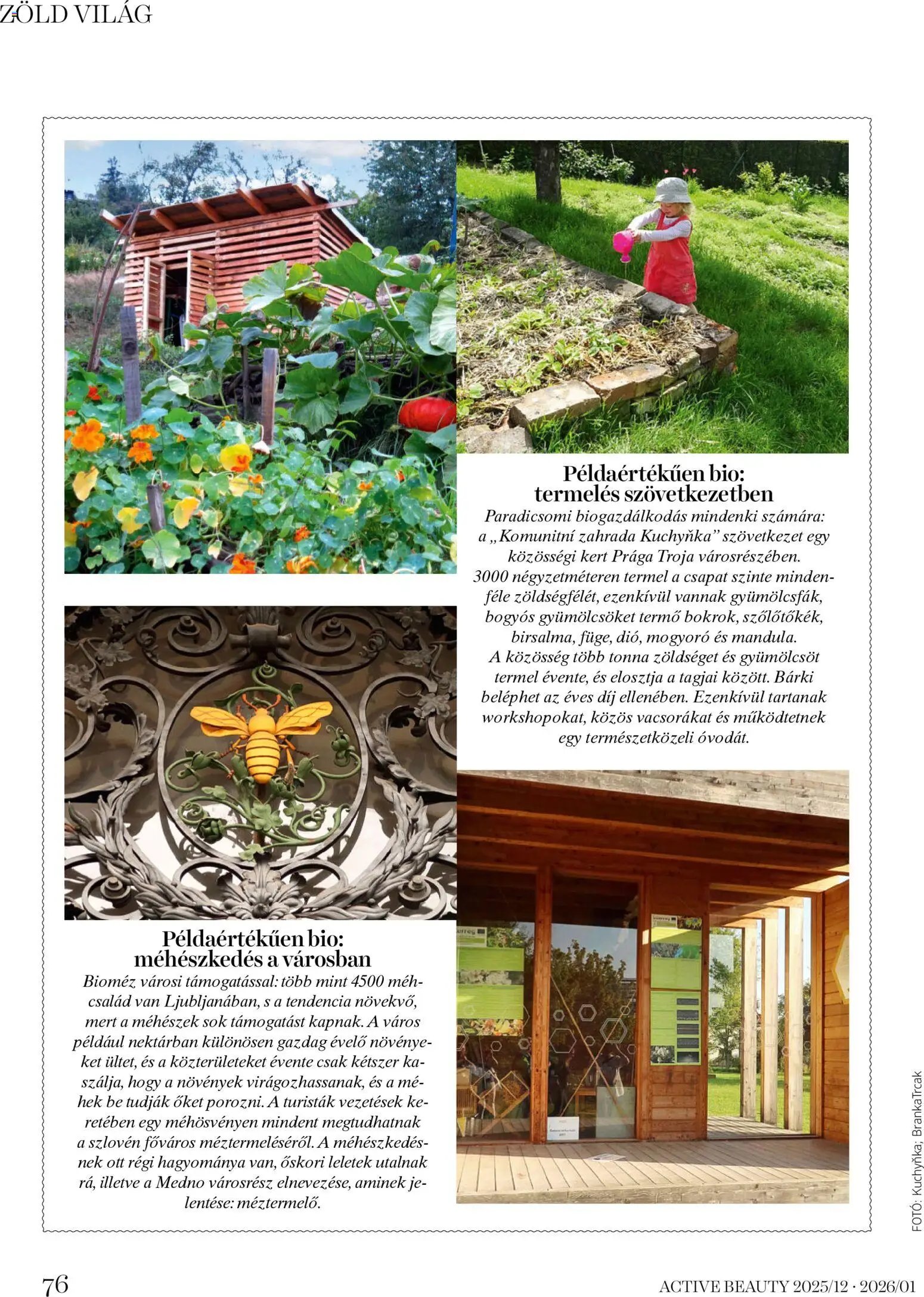 DM Drogerie Markt újság 2025.12.18. Active Beauty 2025/12-2026/01 (2025-12-18 - 2026-01-31)