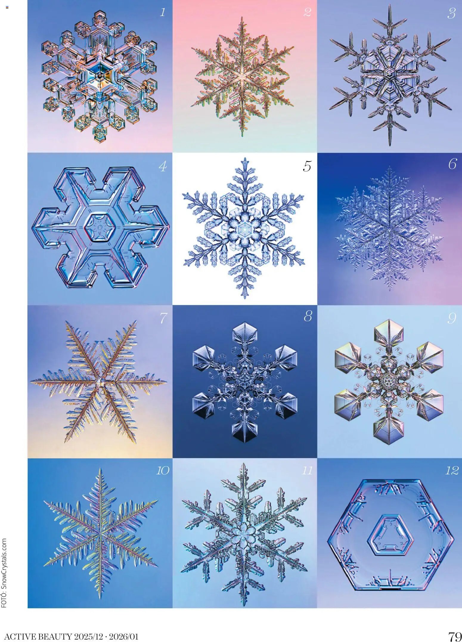 DM Drogerie Markt újság 2025.12.18. Active Beauty 2025/12-2026/01 (2025-12-18 - 2026-01-31)