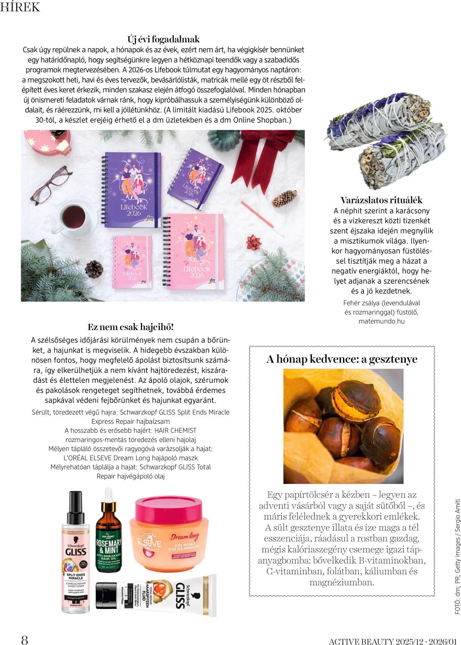 DM Drogerie Markt újság 2025.12.18. Active Beauty 2025/12-2026/01 (2025-12-18 - 2026-01-31)