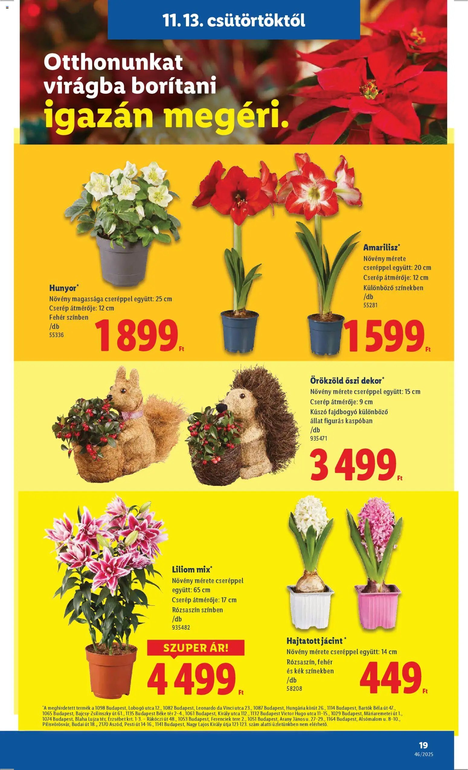 Lidl újság 2025.11.13. Akciós újság Lidl (2025-11-13 - 2025-11-19)