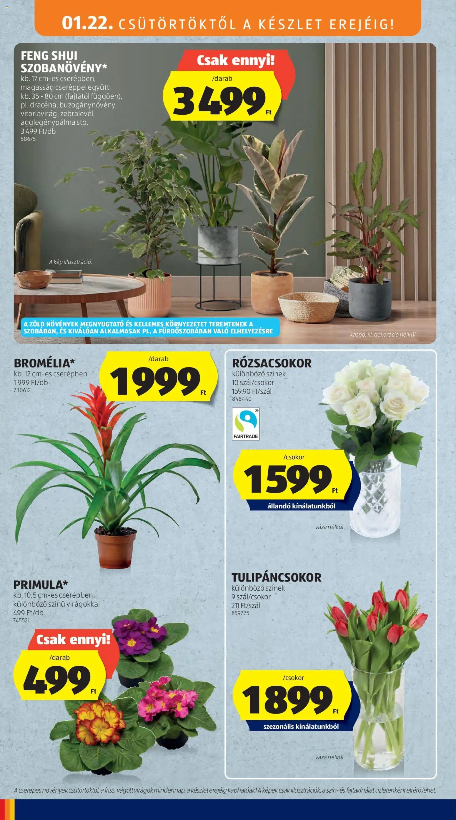 Aldi újság 2026.01.22. Akciós újság Aldi (2026-01-22 - 2026-01-28)