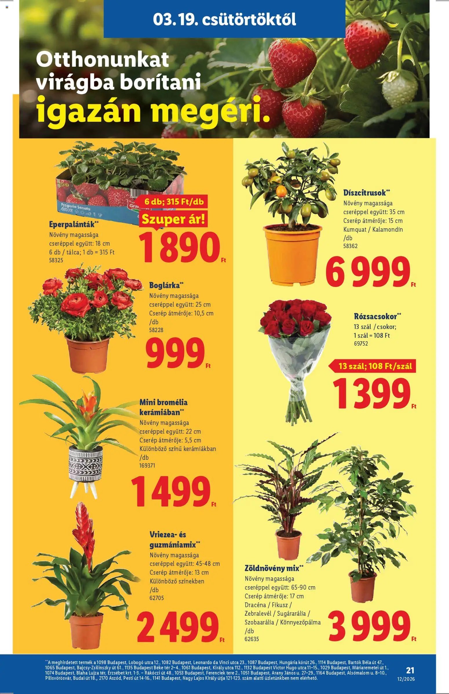 Lidl újság 2026.03.19. Lidl akciós újság (2026-03-19 - 2026-03-25)