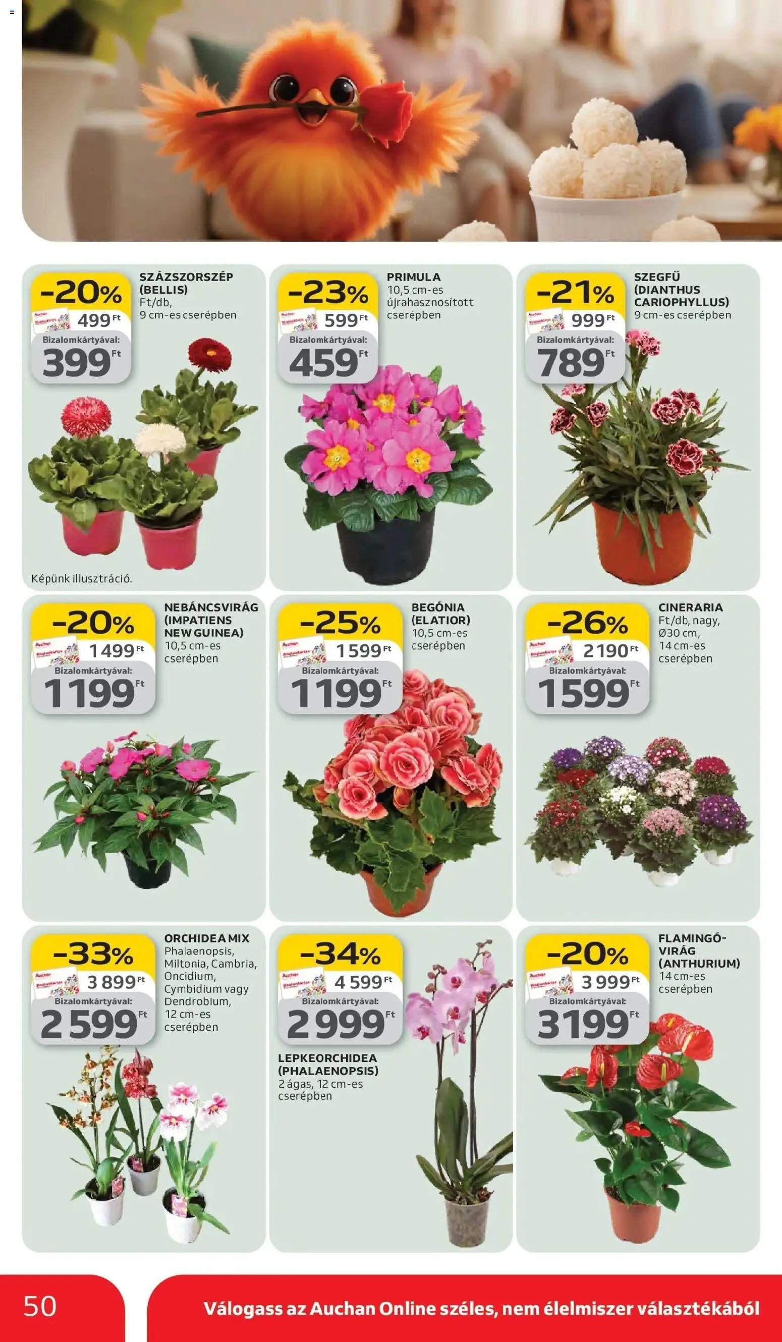 Auchan újság 2026.03.05. Auchan akciós újság Szeged (2026-03-05 - 2026-03-11)