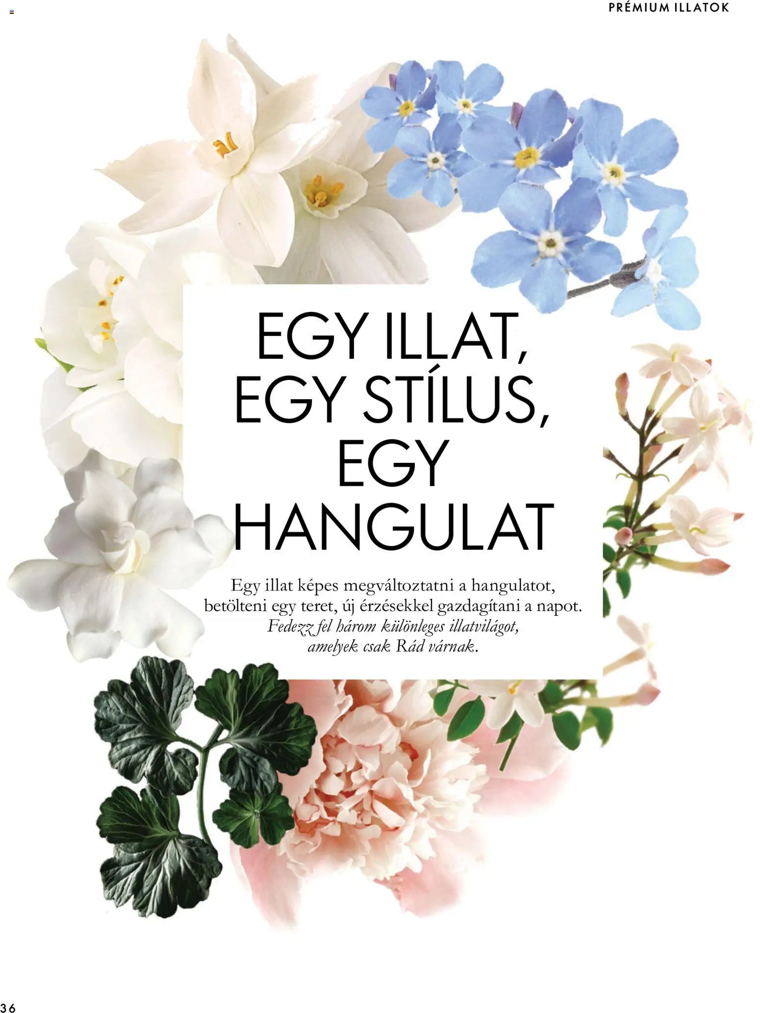 Oriflame Karácsony akciós újság 2026.11.11. -tól/től 🧑‍🎄❄️