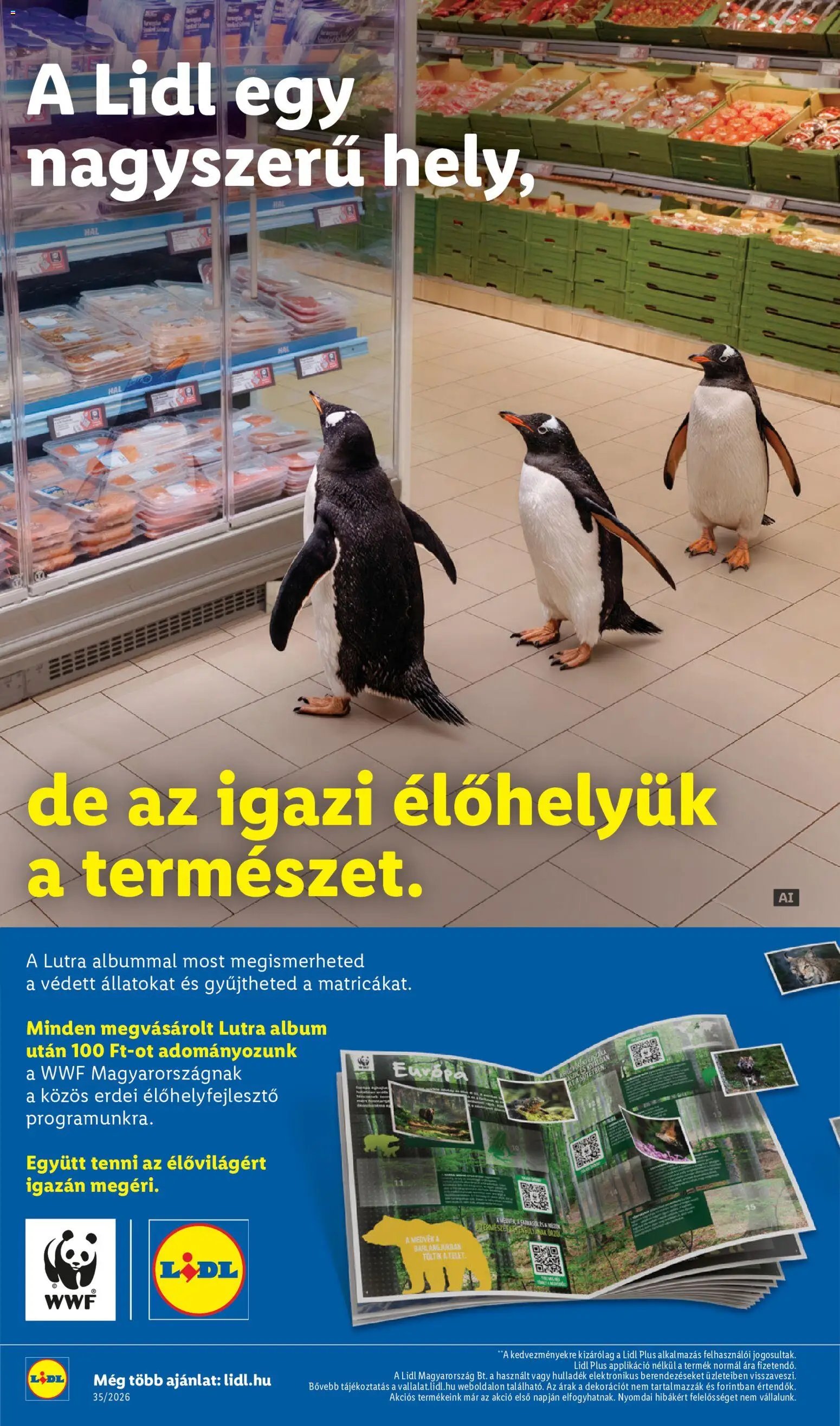 Lidl újság 2026.08.27. Lidl Nonfood kínálatunk