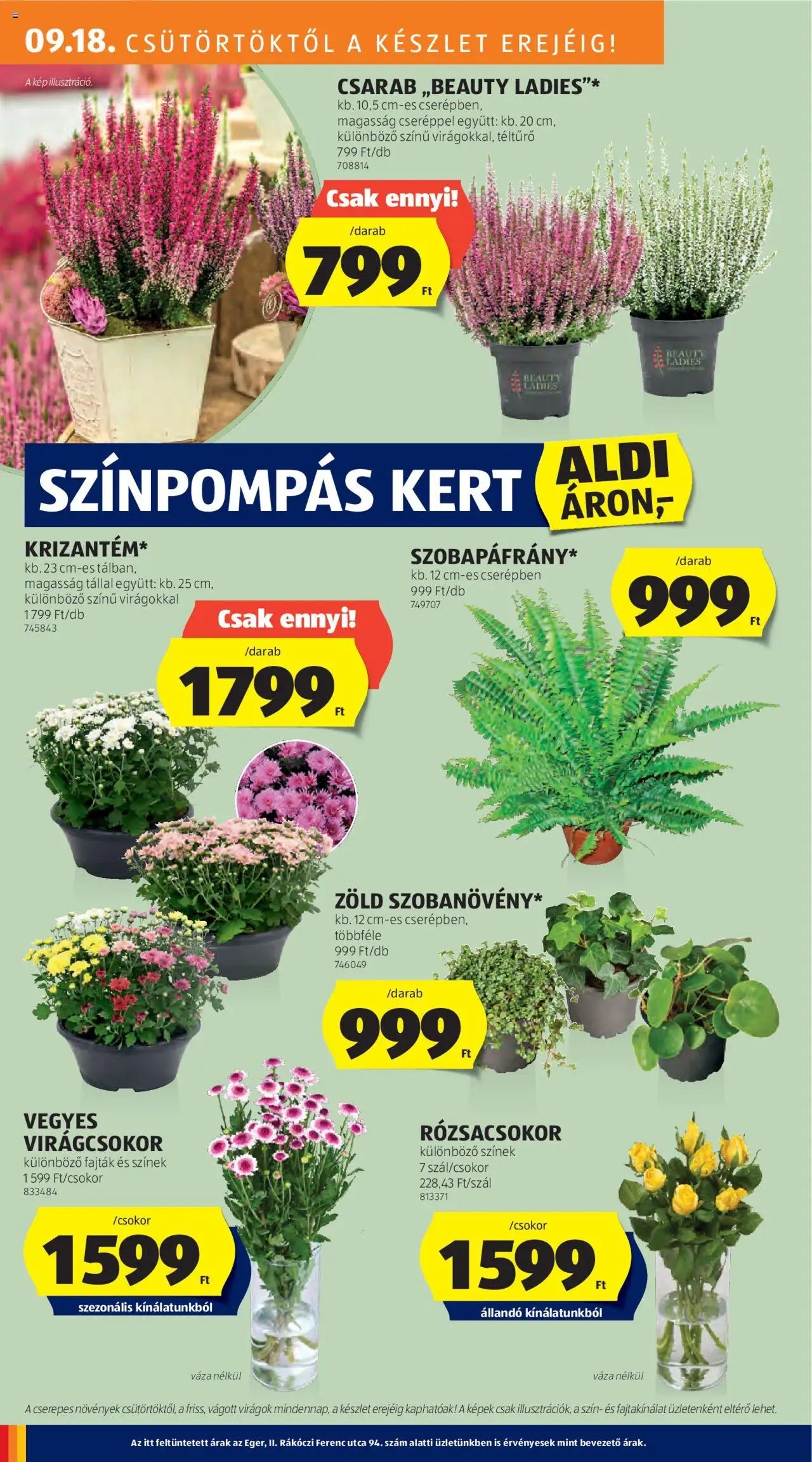 Aldi újság 2025.09.18. Akciós újság Aldi (2025-09-18 - 2025-09-24)
