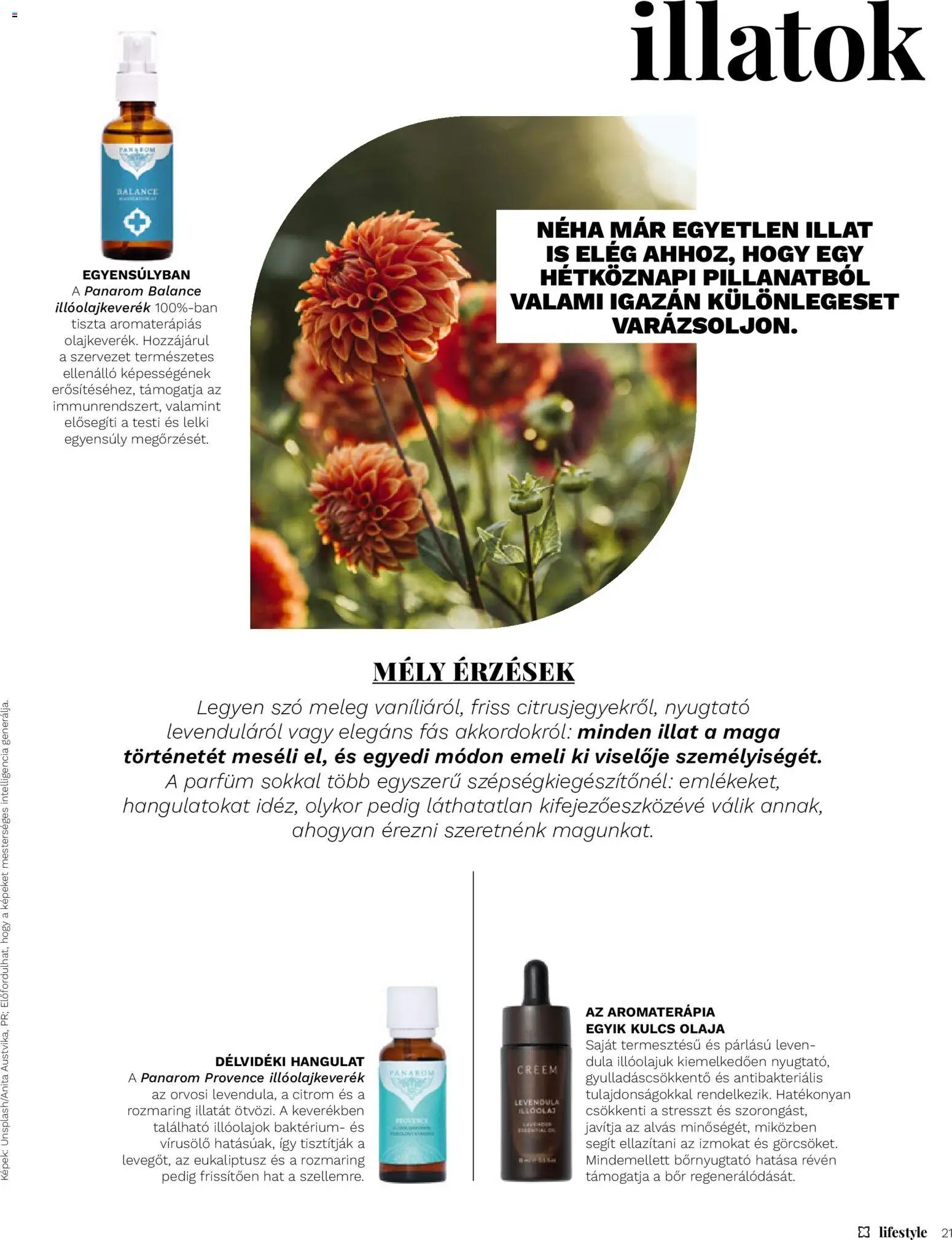 Müller újság 2026.10.02. Müller Lifestyle magazin