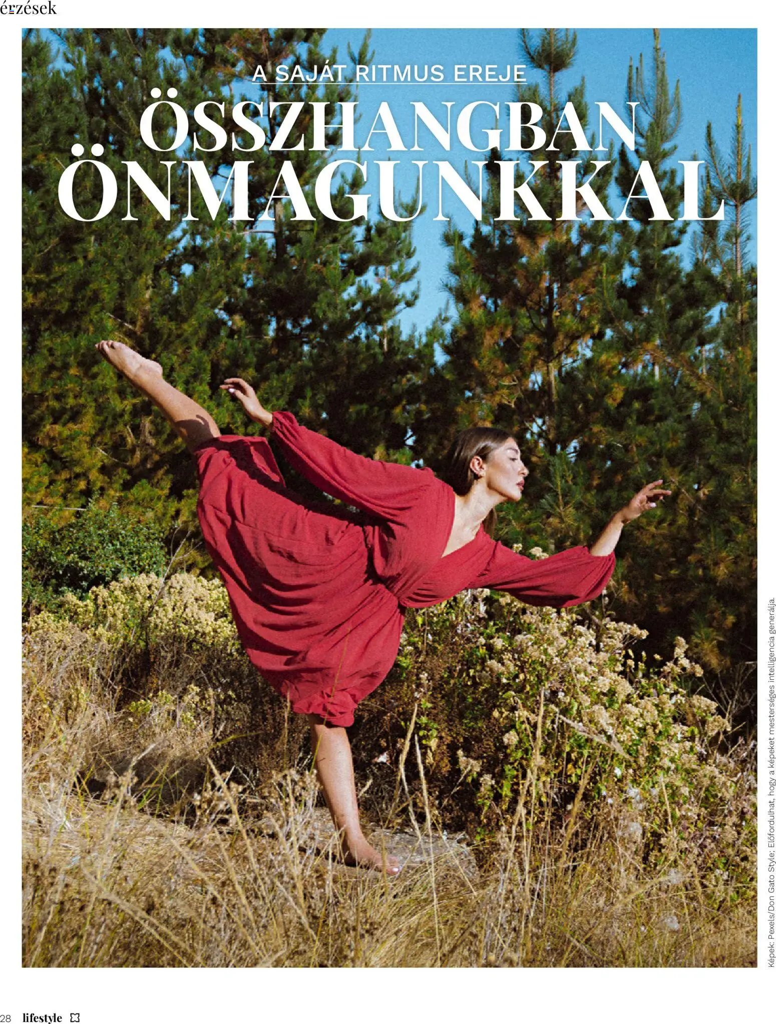 Müller újság 2026.10.02. Müller Lifestyle magazin