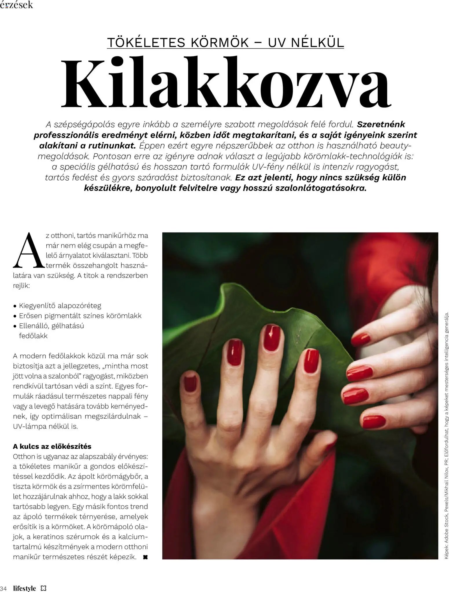 Müller újság 2026.10.02. Müller Lifestyle magazin