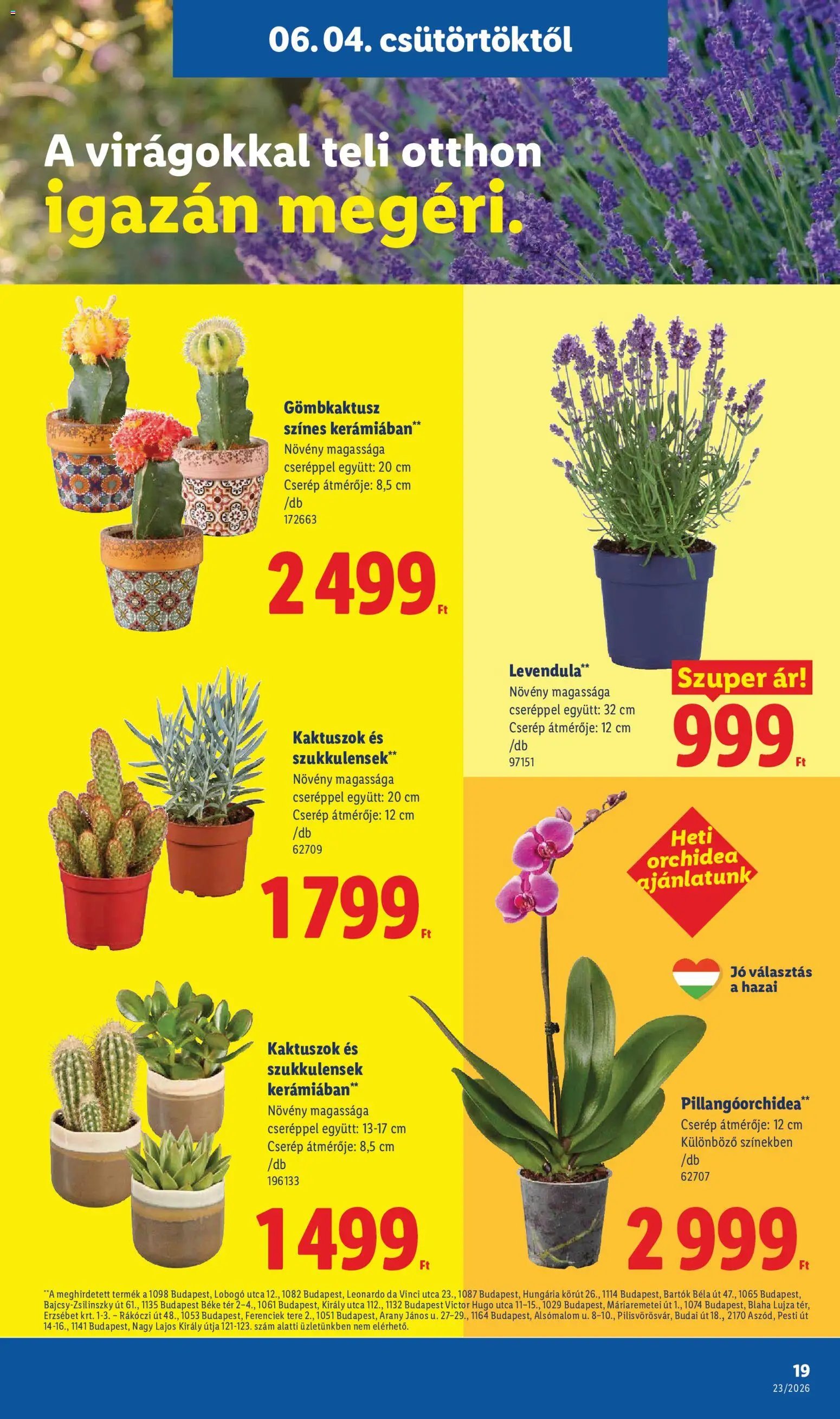 Lidl újság 2026.06.04. Lidl akciós újság