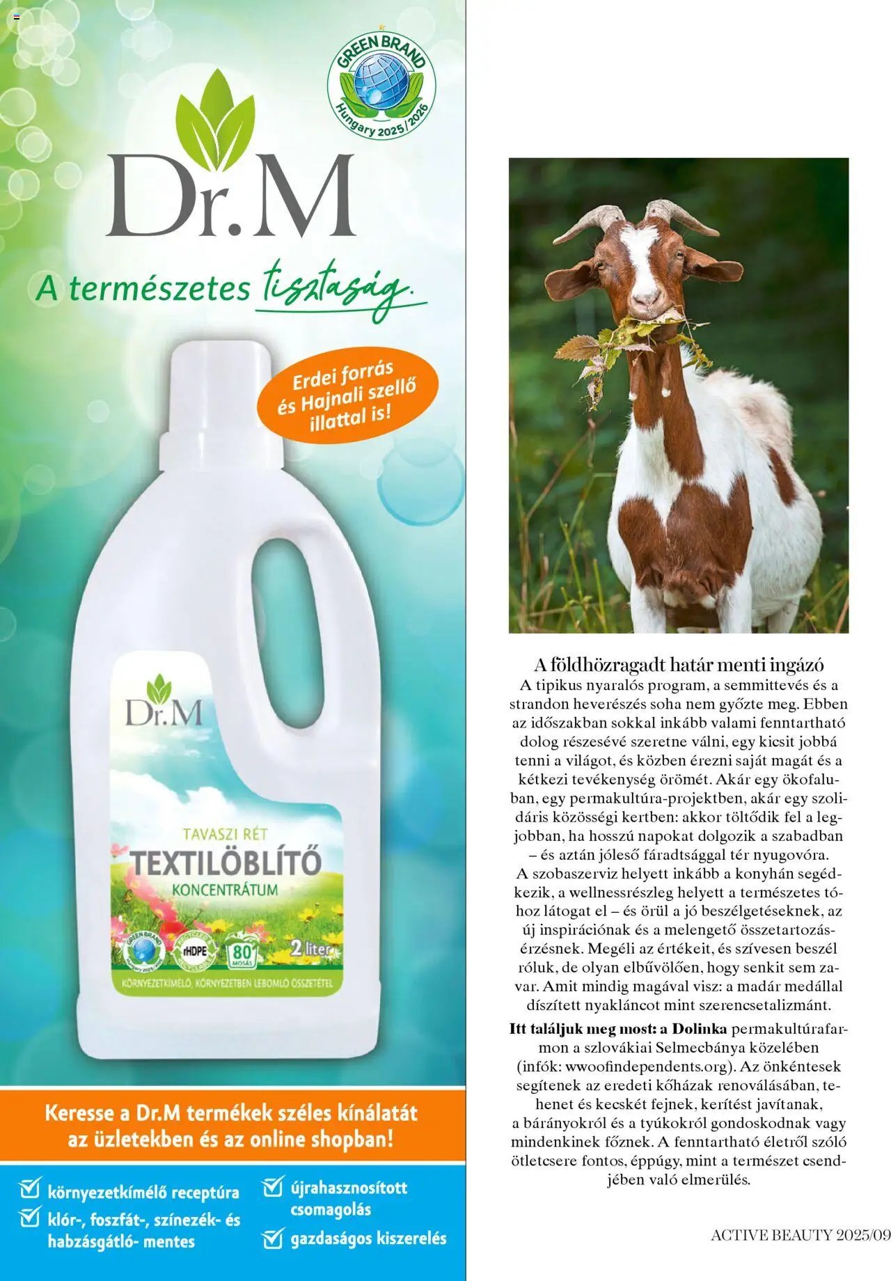 DM Drogerie Markt újság 2025.09.04. Active Beauty 2025/09 (2025-09-04)