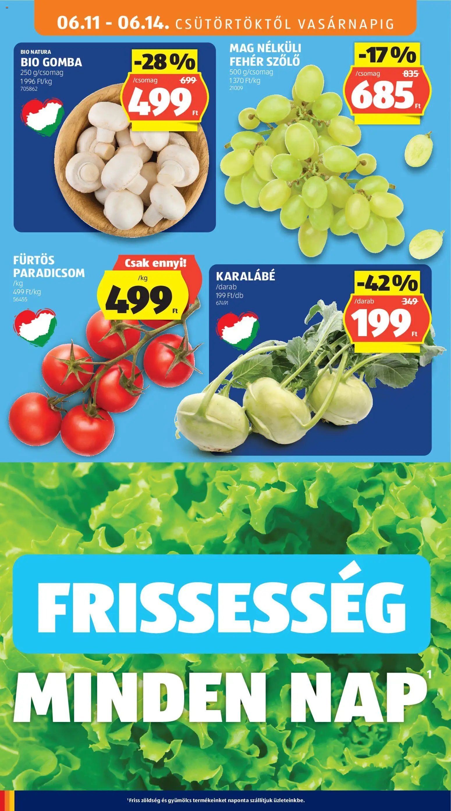 Aldi újság 2026.06.11. Aldi akciós újság