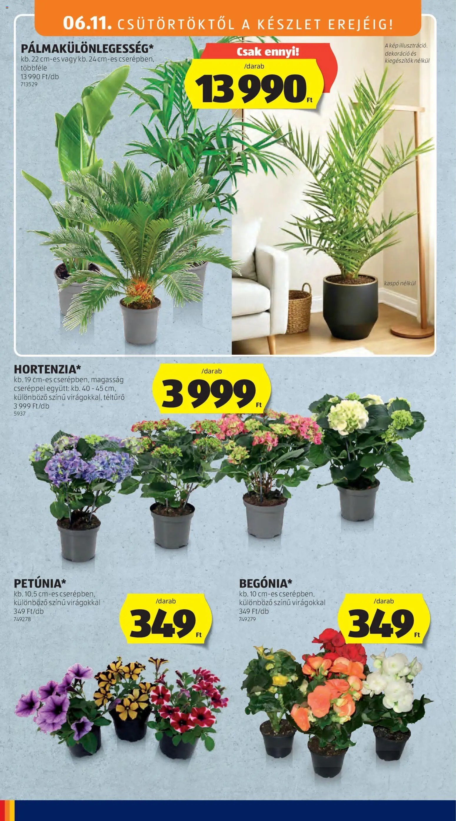 Aldi újság 2026.06.11. Aldi akciós újság