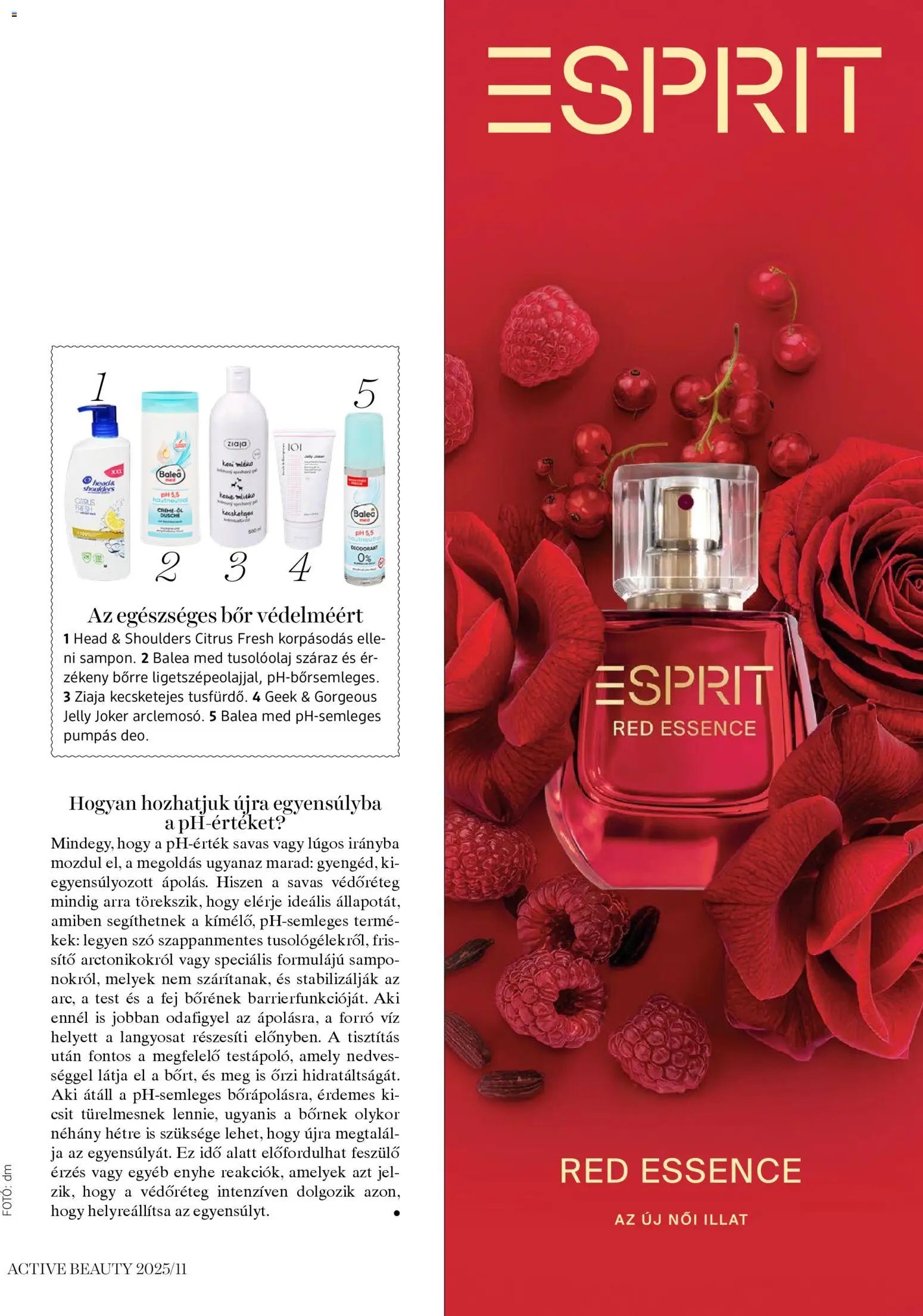 DM Drogerie Markt újság 2025.11.13. Active Beauty 2025/11 (2025-11-13 - 2025-11-30)