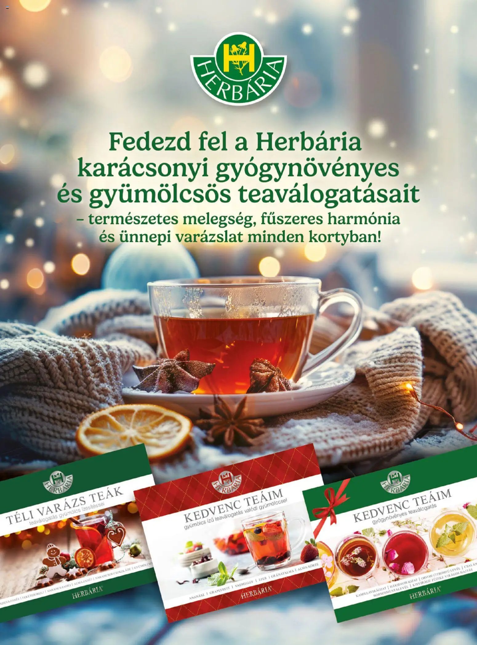 DM Drogerie Markt újság 2025.11.13. Active Beauty 2025/11 (2025-11-13 - 2025-11-30)