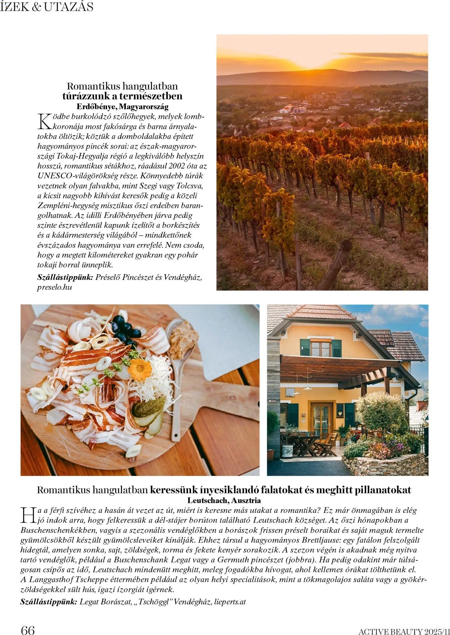 DM Drogerie Markt újság 2025.11.13. Active Beauty 2025/11 (2025-11-13 - 2025-11-30)