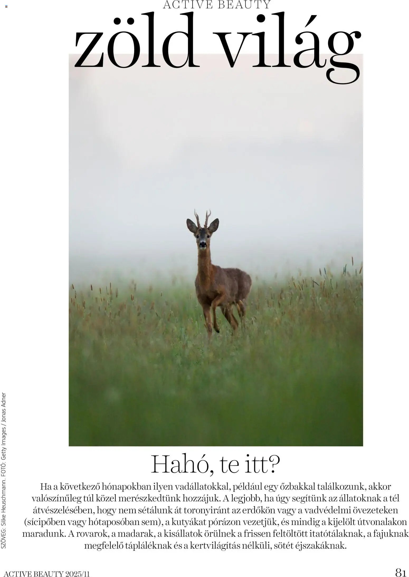 DM Drogerie Markt újság 2025.11.13. Active Beauty 2025/11 (2025-11-13 - 2025-11-30)