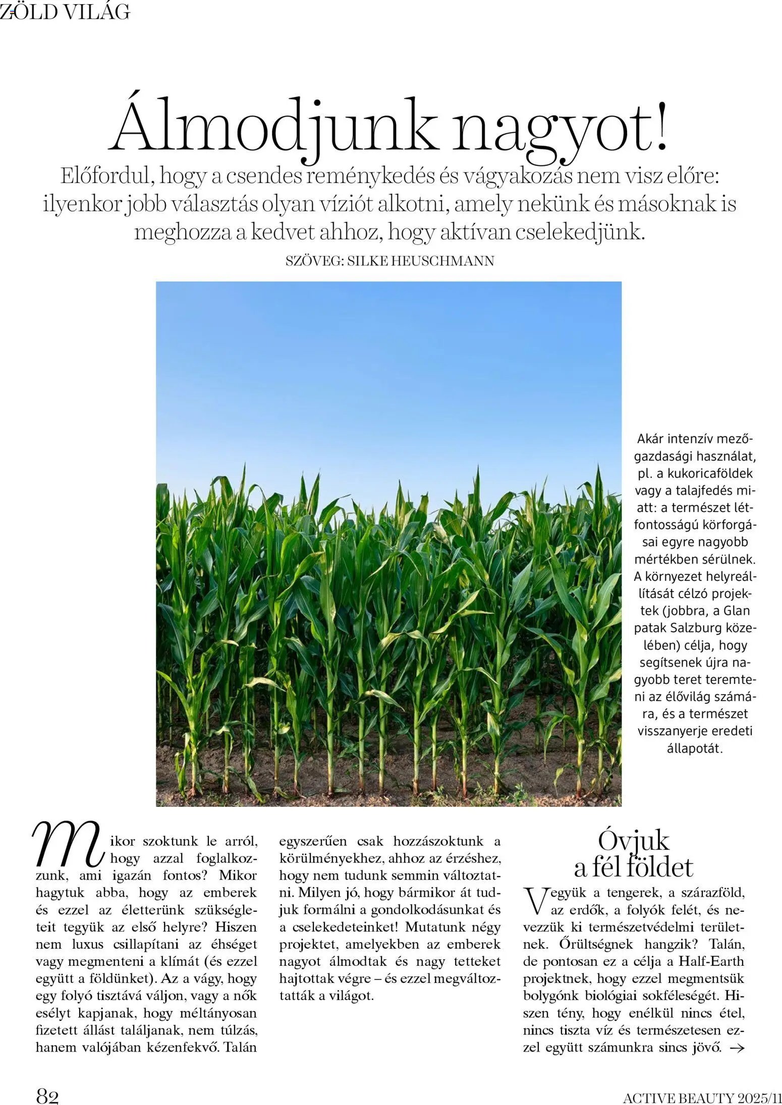 DM Drogerie Markt újság 2025.11.13. Active Beauty 2025/11 (2025-11-13 - 2025-11-30)