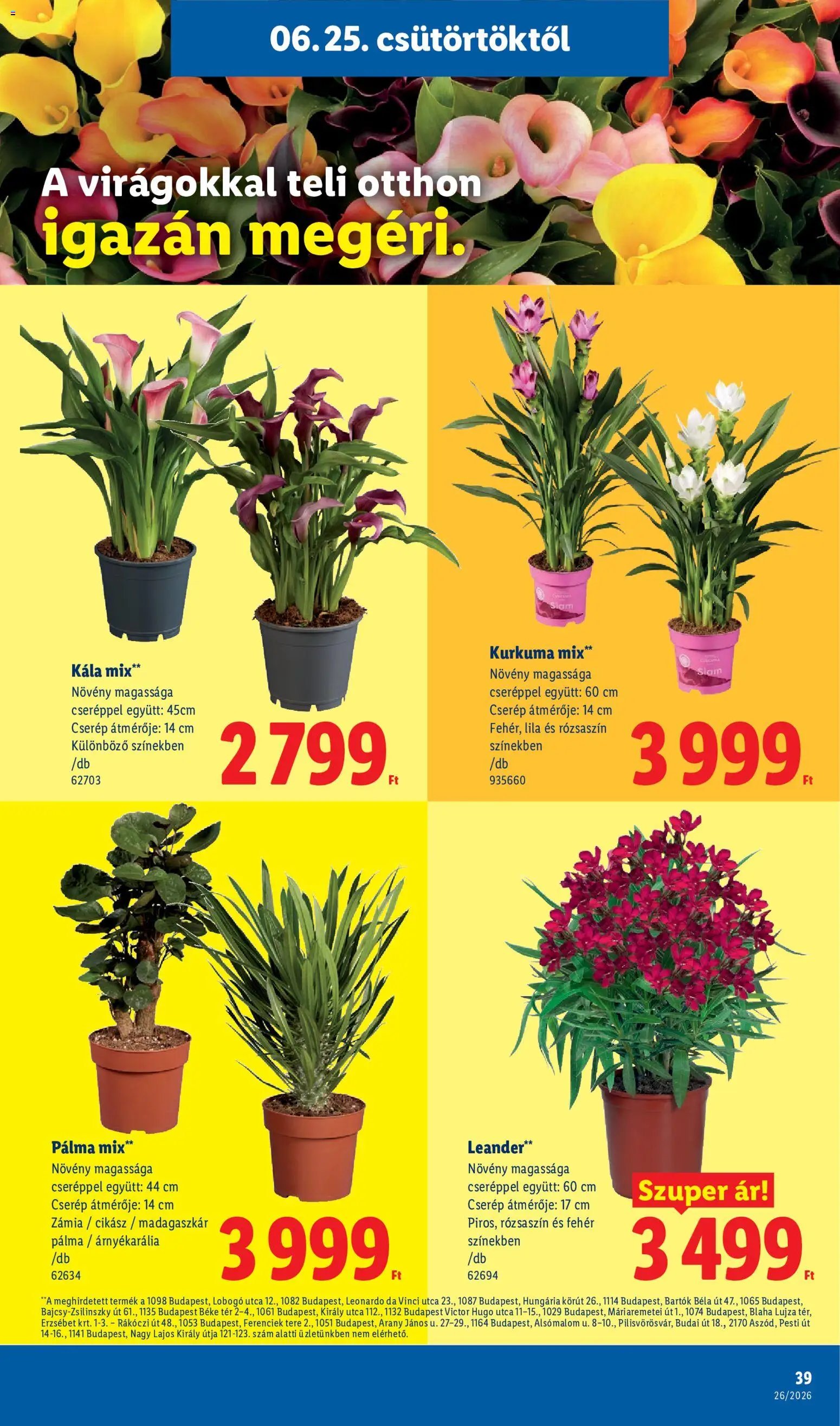 Lidl újság 2026.06.25. Lidl akciós újság