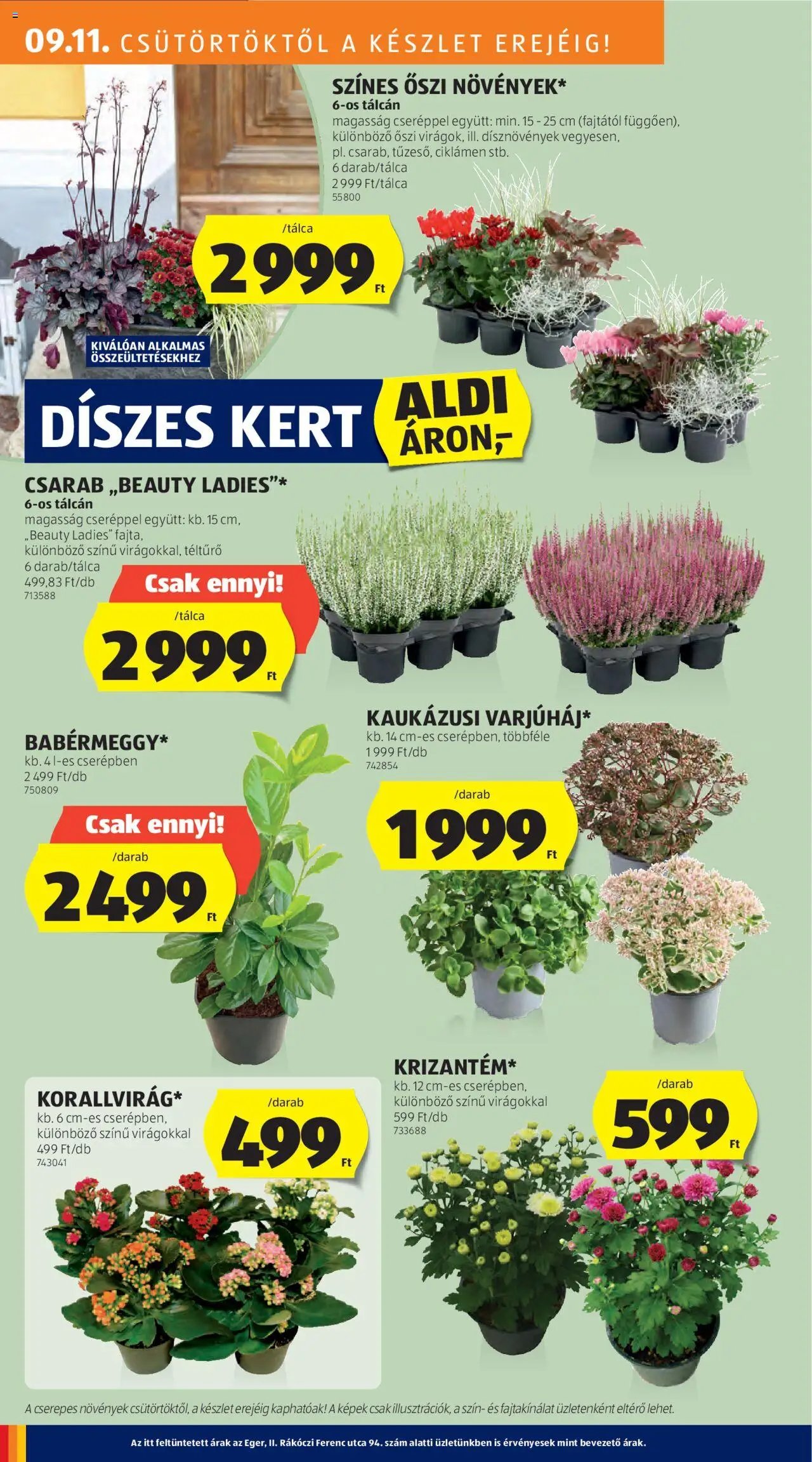 Aldi újság 2025.09.11. Akciós újság (2025-09-11 - 2025-09-17)