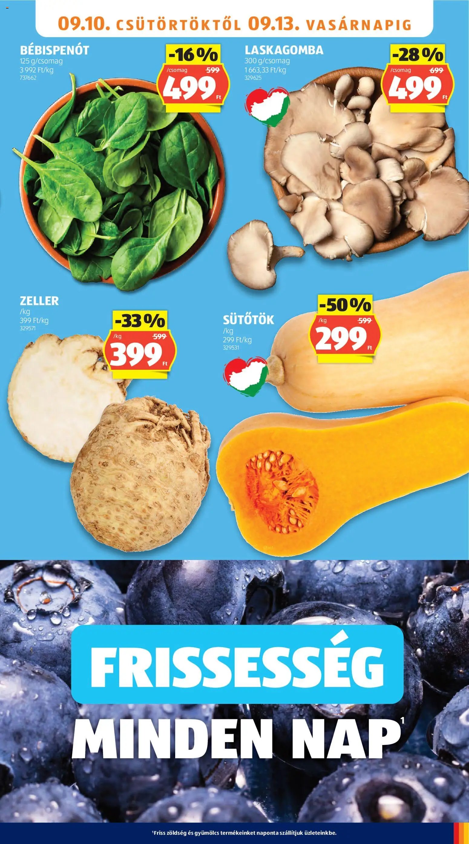 Aldi újság 2026.09.10. Aldi akciós újság