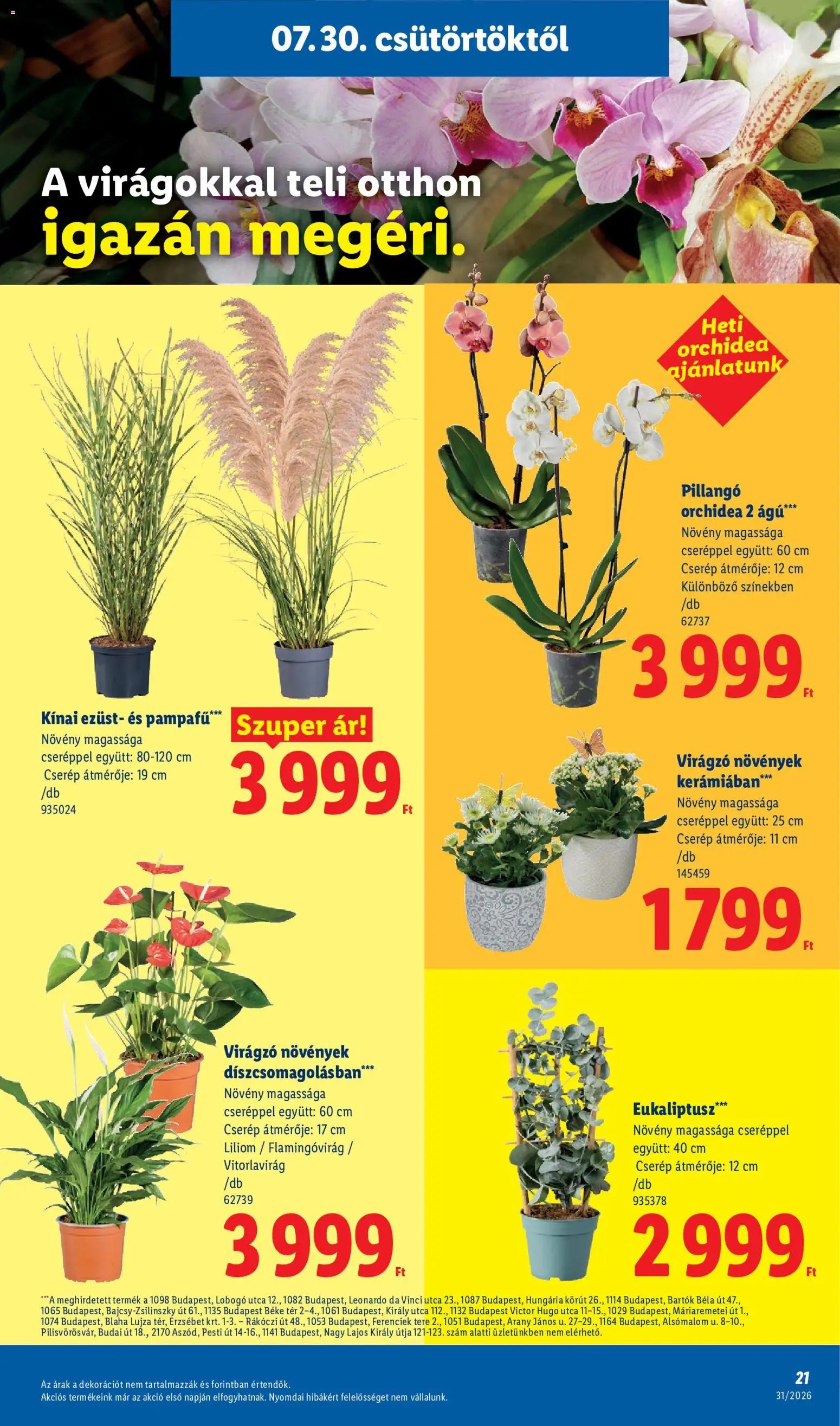 Lidl újság 2026.07.30. Lidl akciós újság
