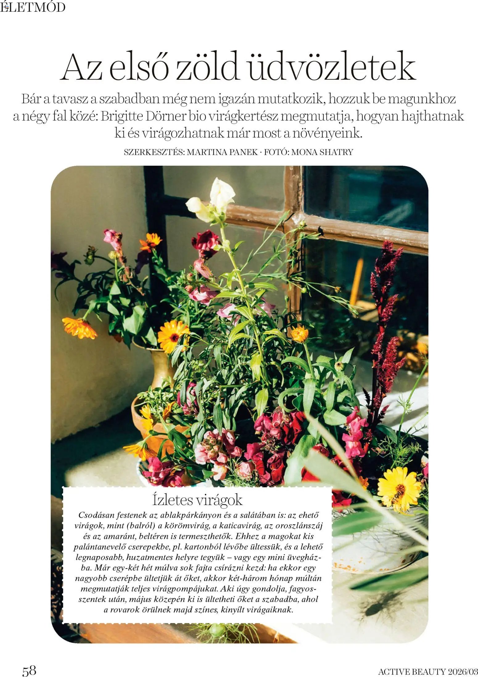 DM Drogerie Markt újság 2026.03.26. DM Drogerie Markt Active Beauty 2026/03 (2026-03-26 - 2026-04-30)