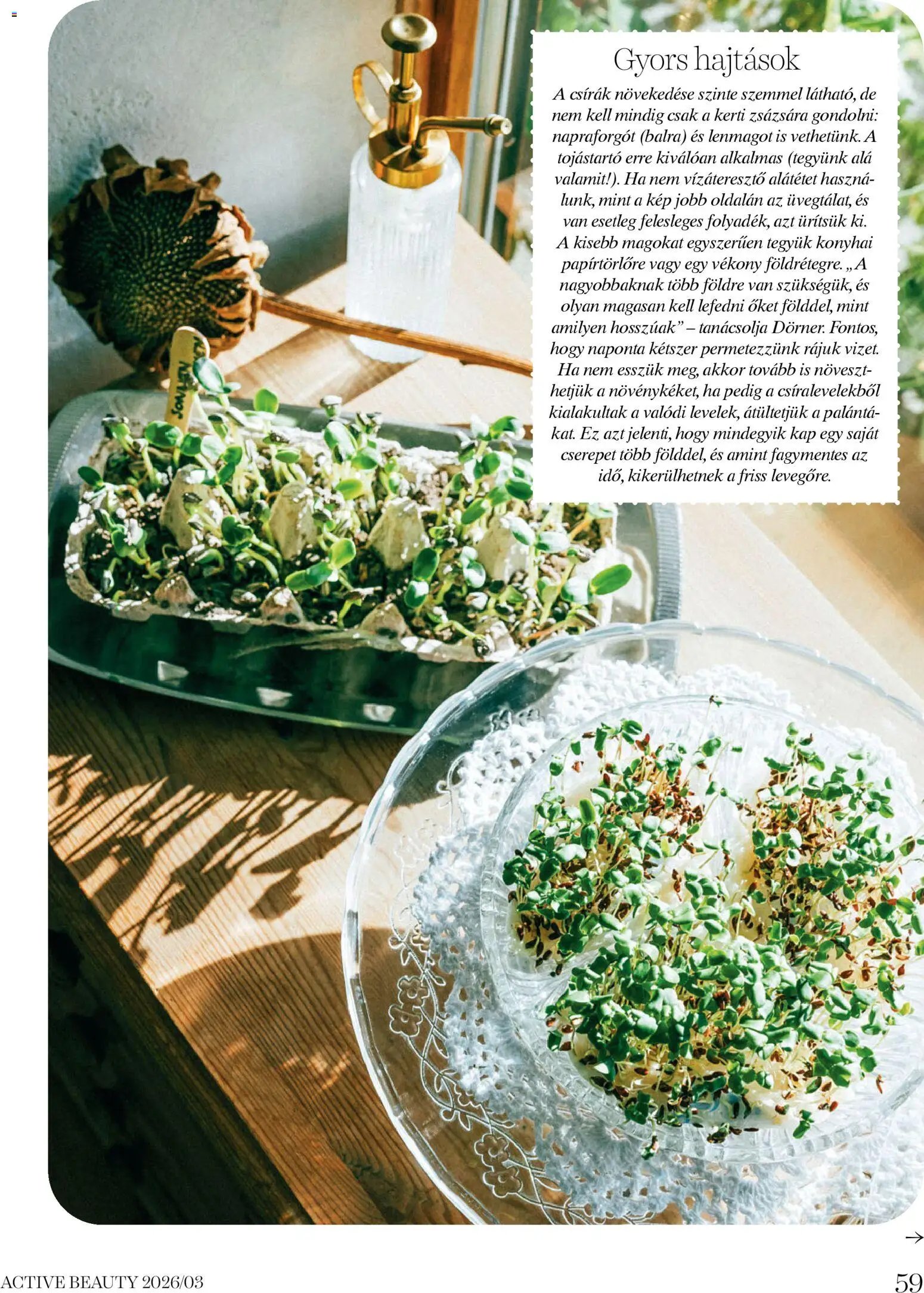 DM Drogerie Markt újság 2026.03.26. DM Drogerie Markt Active Beauty 2026/03 (2026-03-26 - 2026-04-30)