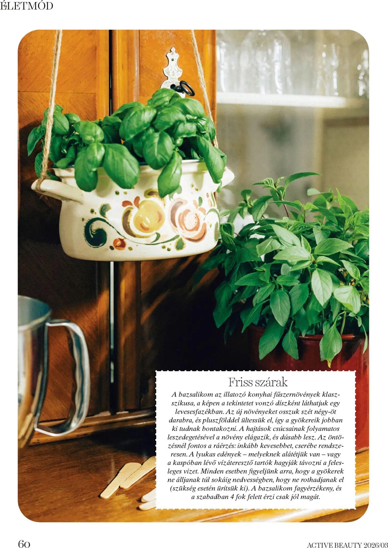 DM Drogerie Markt újság 2026.03.26. DM Drogerie Markt Active Beauty 2026/03 (2026-03-26 - 2026-04-30)