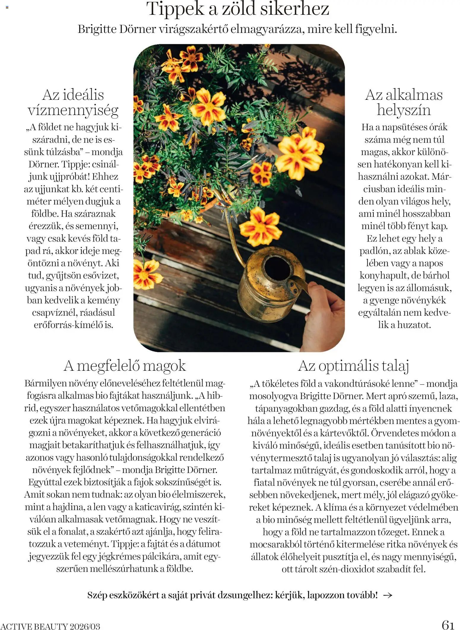 DM Drogerie Markt újság 2026.03.26. DM Drogerie Markt Active Beauty 2026/03 (2026-03-26 - 2026-04-30)