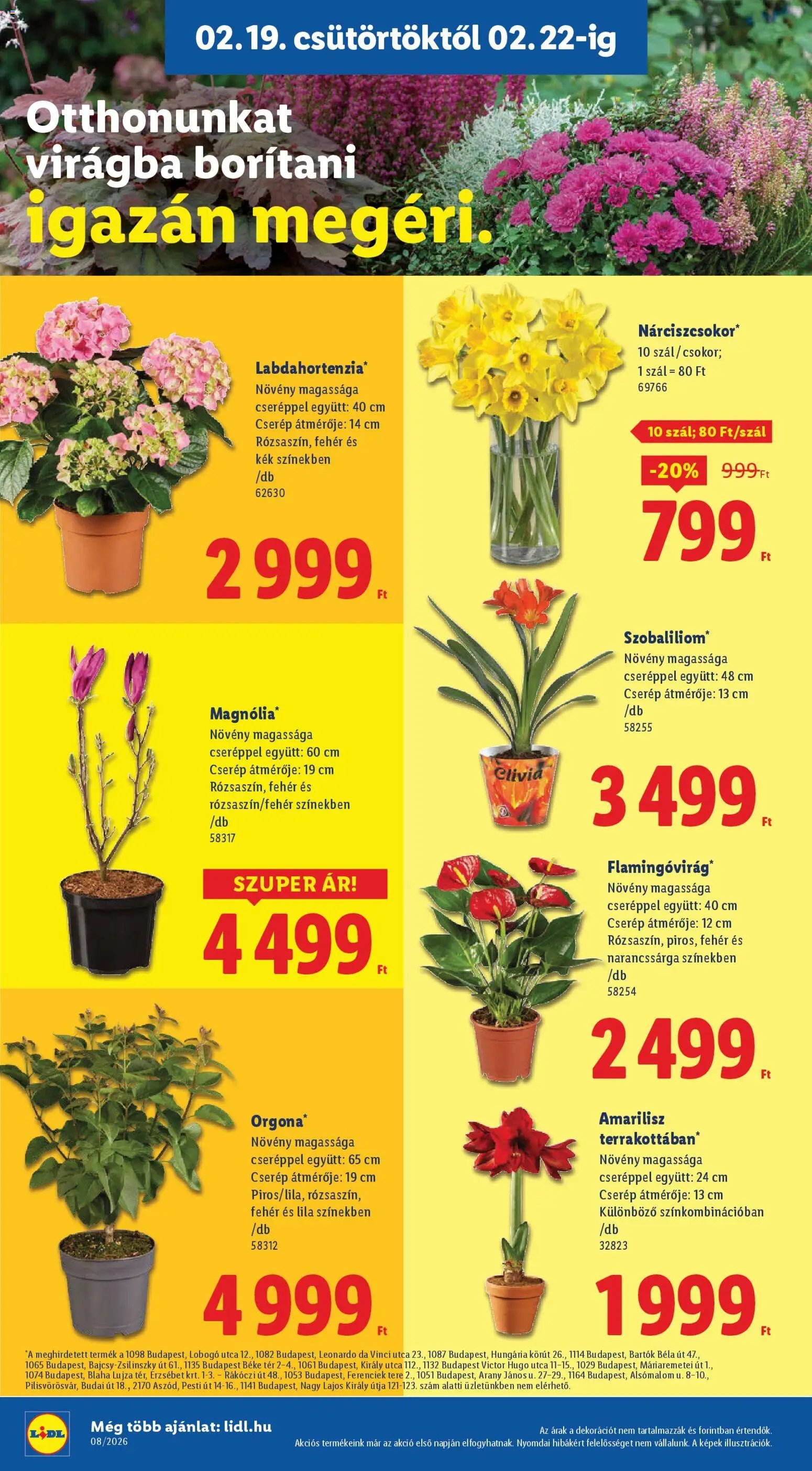 Lidl újság 2026.02.19. Akciós újság Lidl (2026-02-19 - 2026-02-25)