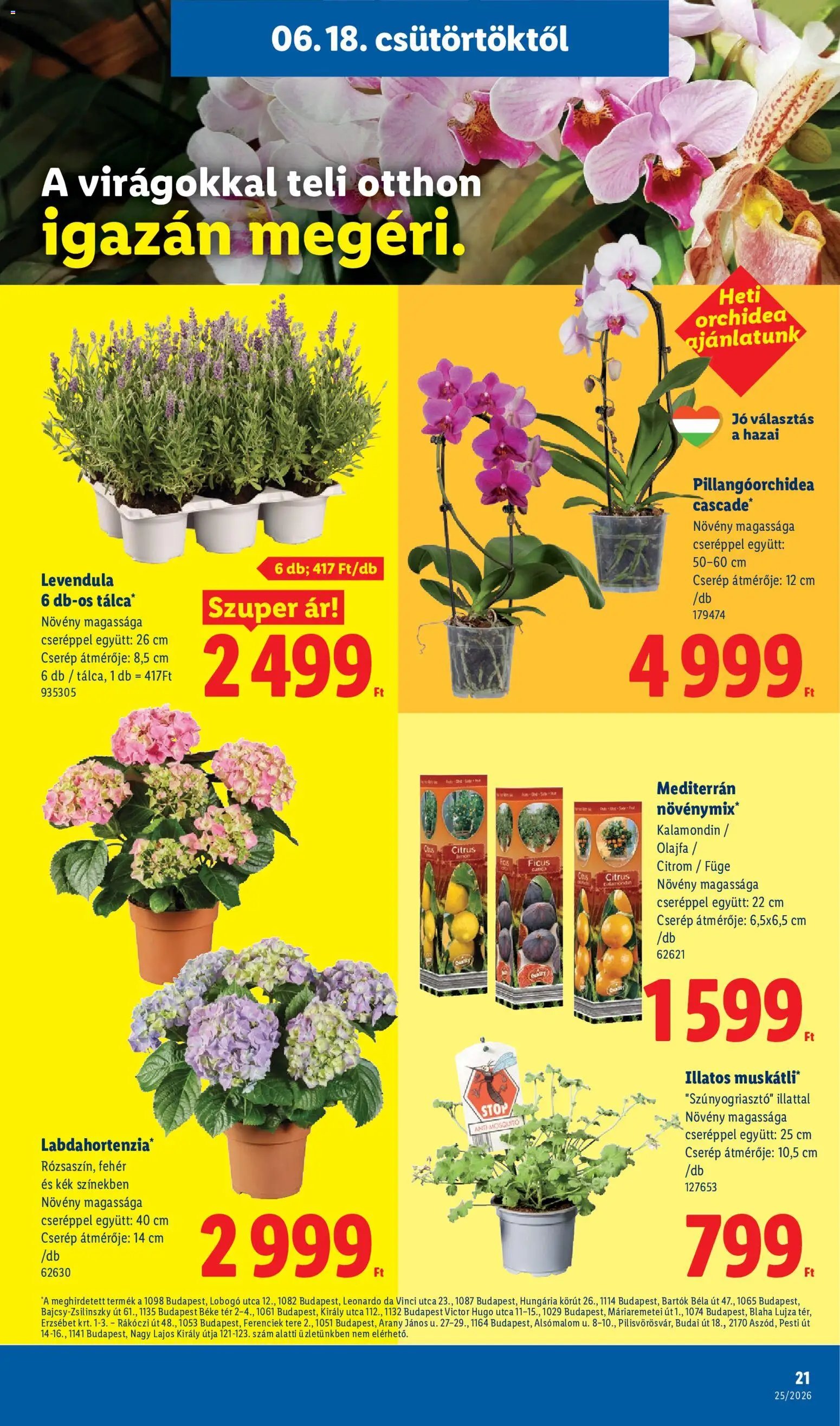 Lidl újság 2026.06.18. Lidl akciós újság