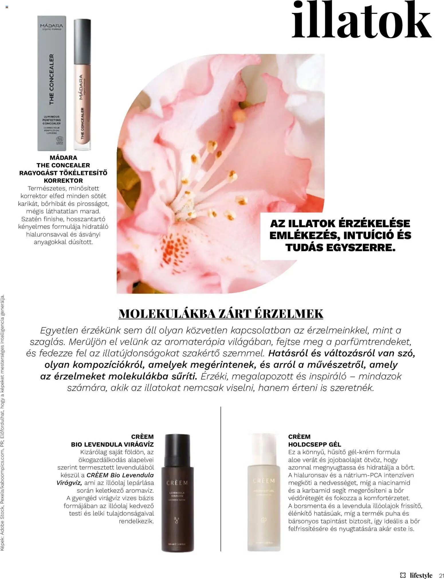 Müller újság 2026.06.01. Müller Lifestyle magazin