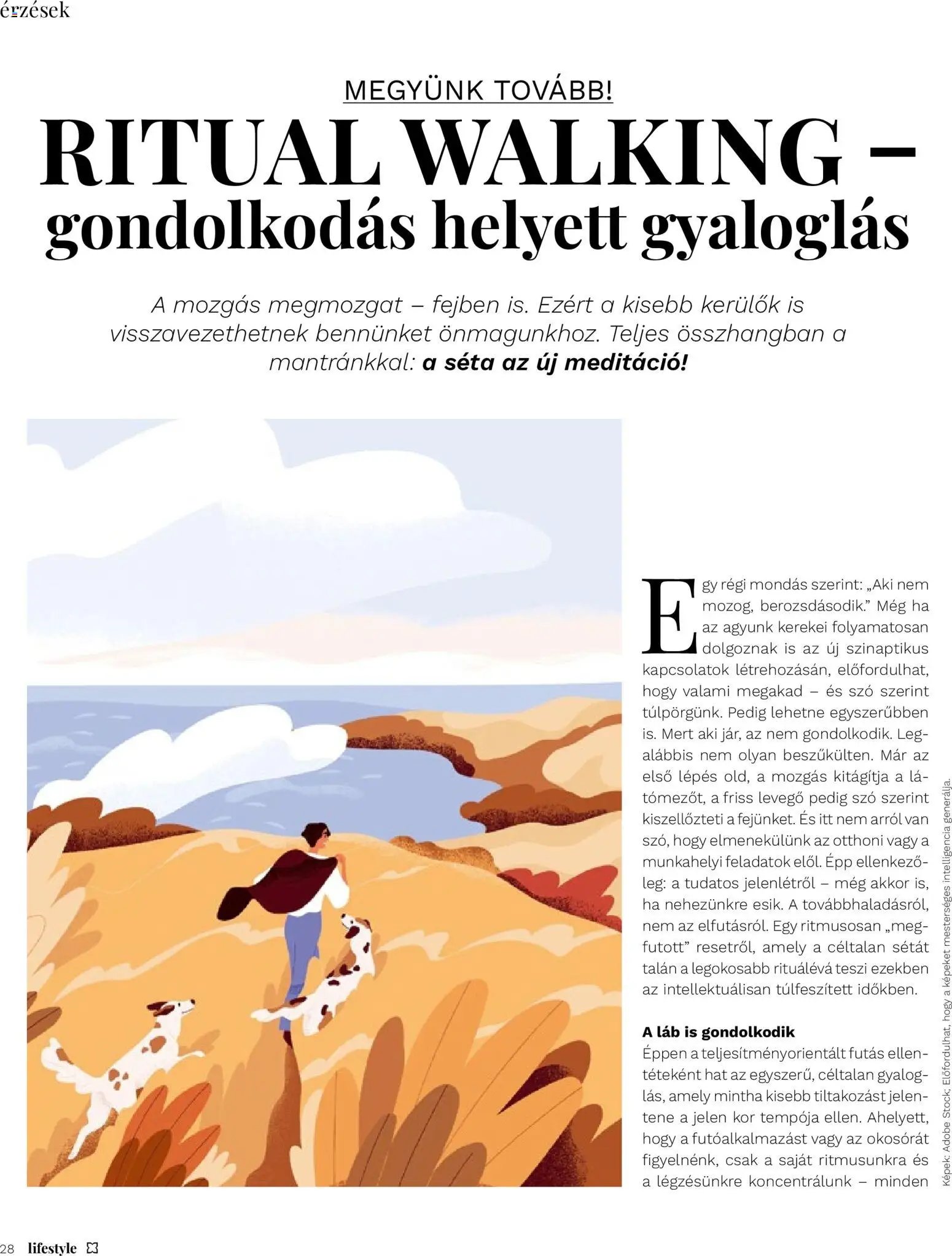 Müller újság 2026.06.01. Müller Lifestyle magazin