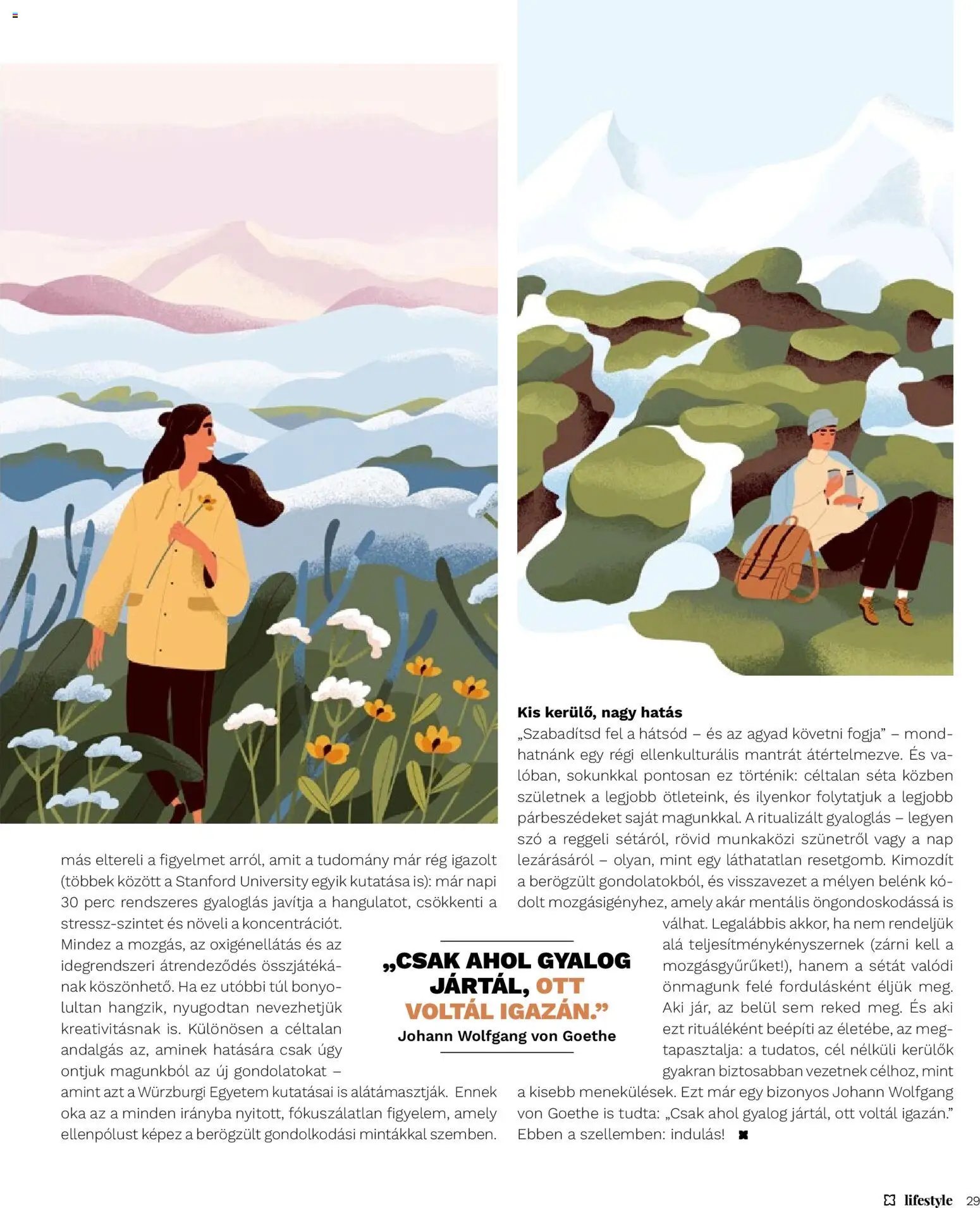 Müller újság 2026.06.01. Müller Lifestyle magazin