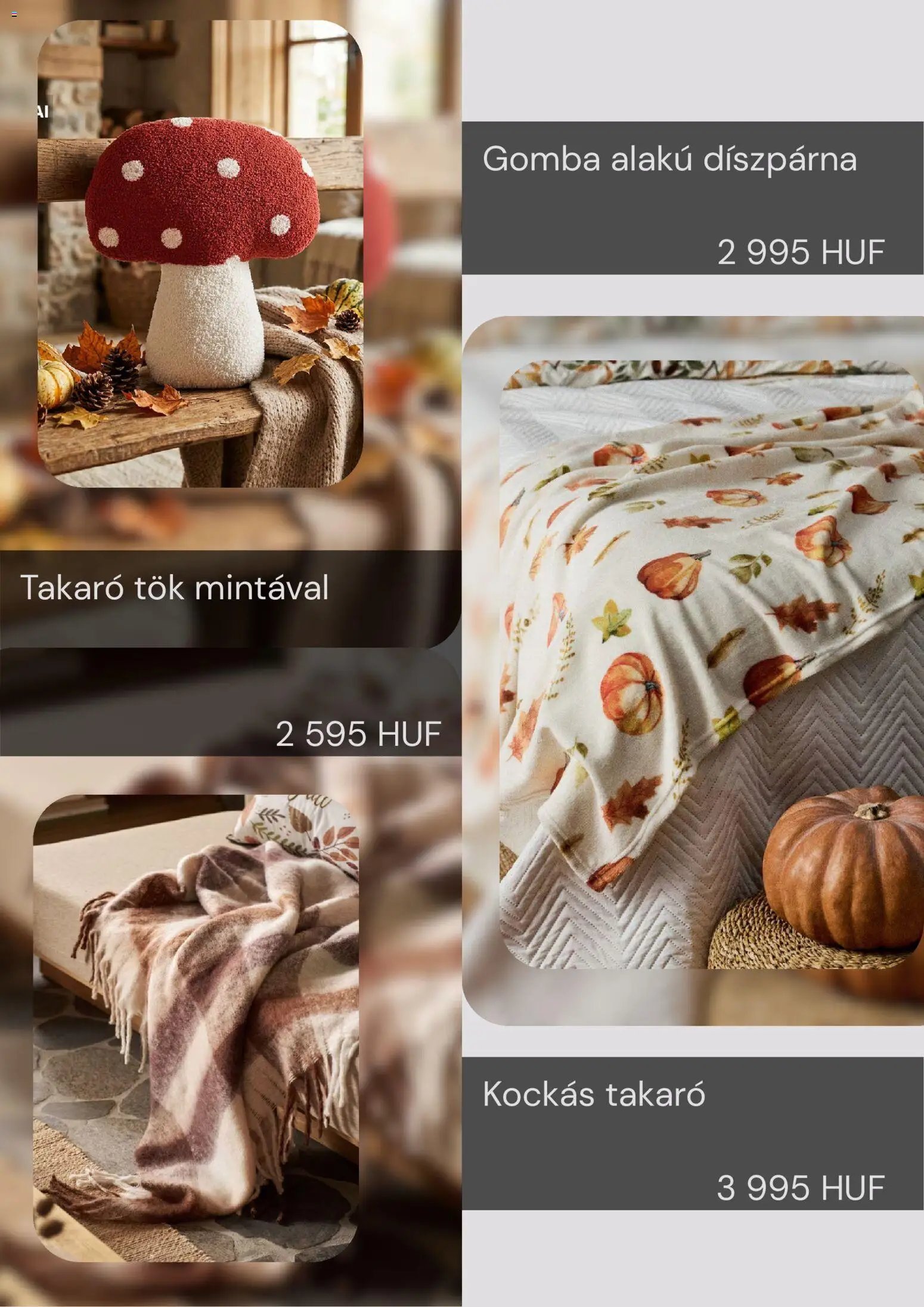 Sinsay újság 2026.09.21. Sinsay akciós újság